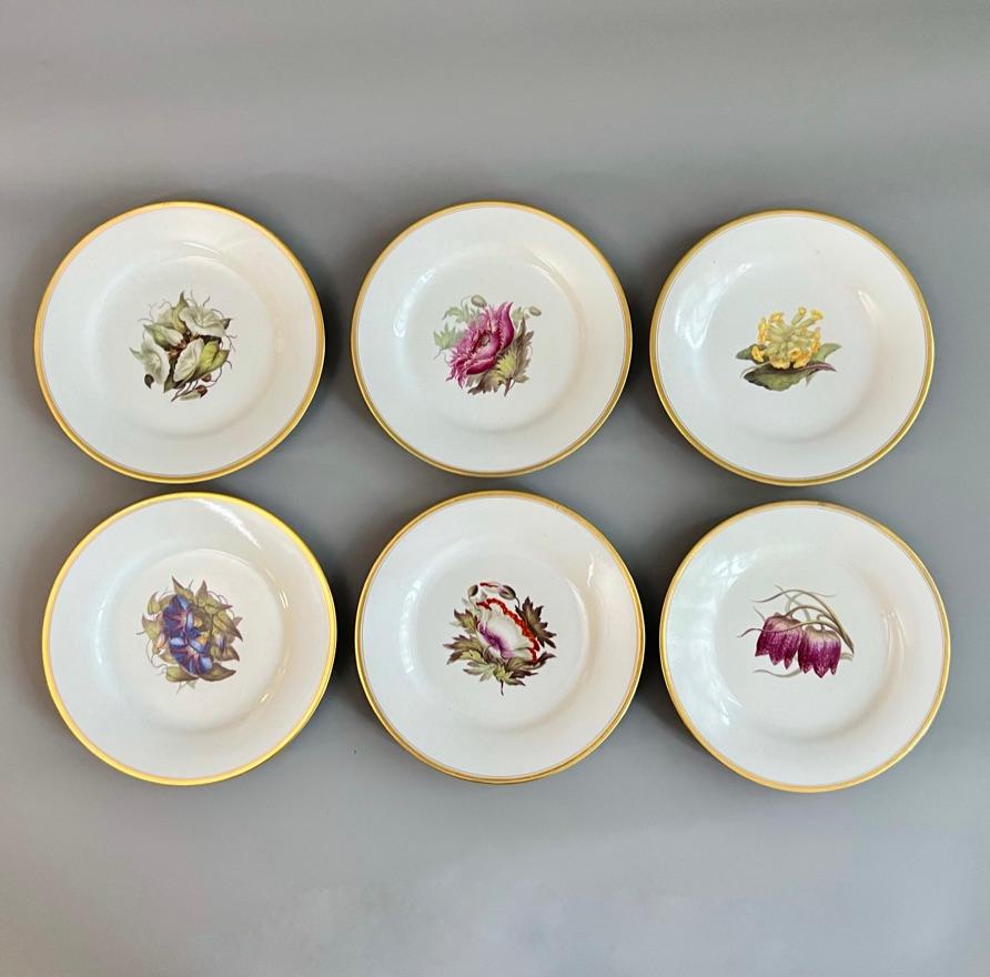 Barr Flight & Barr Part Dessert Service, Flowers by William Billingsley, 1808-10 In Good Condition For Sale In London, GB