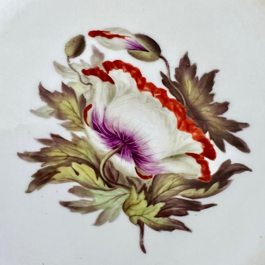 Barr Flight & Barr Teil-Dessertservice, Blumen von William Billingsley, 1808-10 (Porzellan) im Angebot