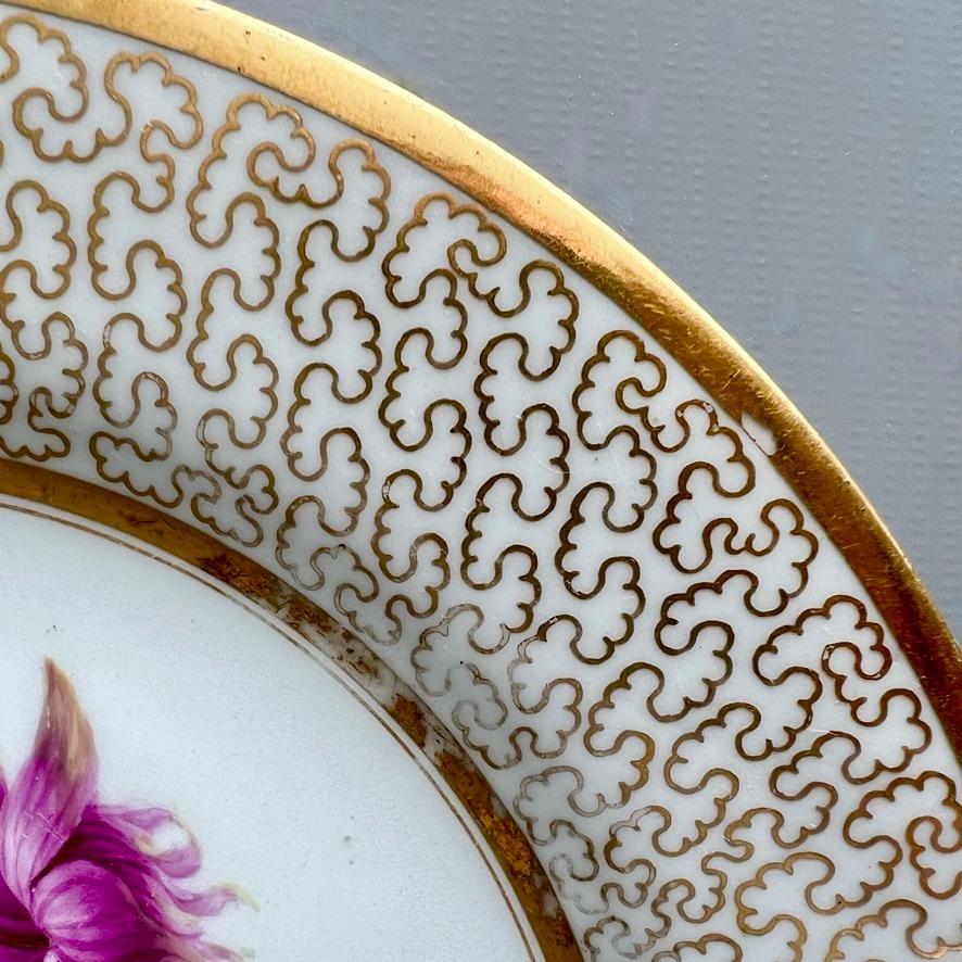 Barr Flight & Barr Plate, Flowers by W. Billingsley, Gilt Vermiculé, ca 1809 (1) 2