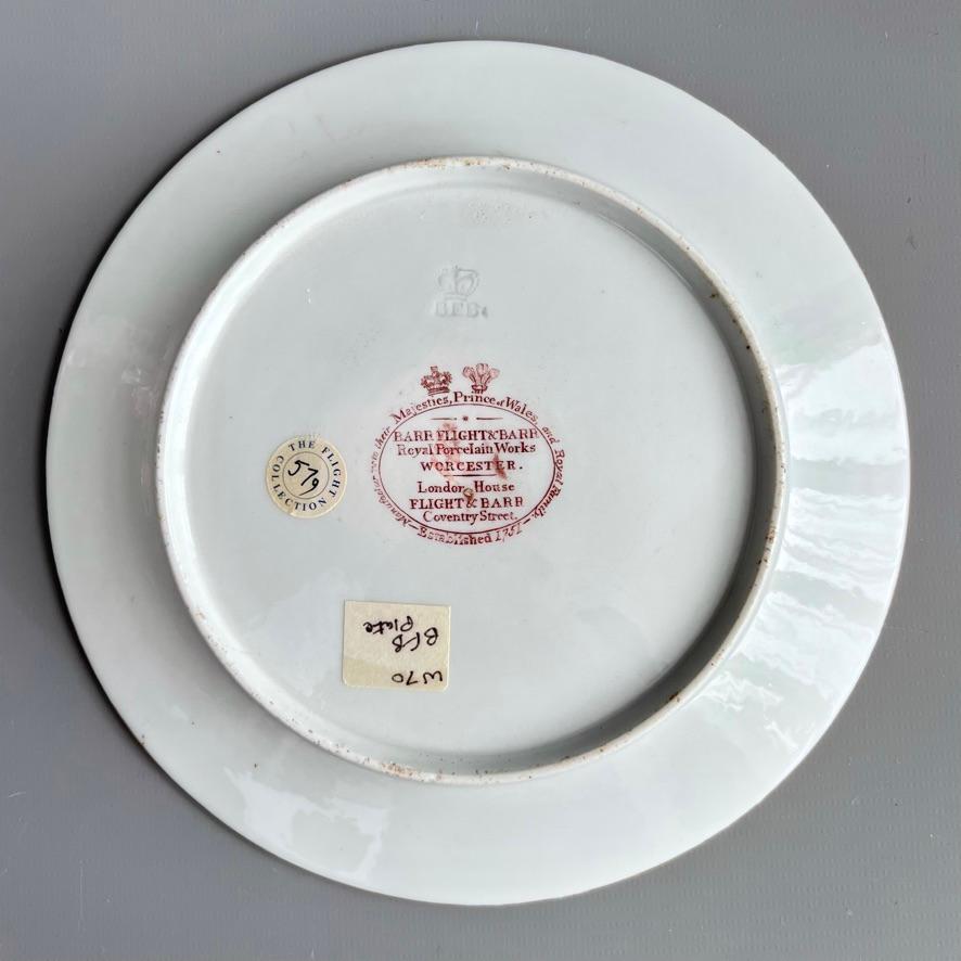 Barr Flight & Barr Plate, Flowers by W. Billingsley, Gilt Vermiculé, ca 1809 (1) 3