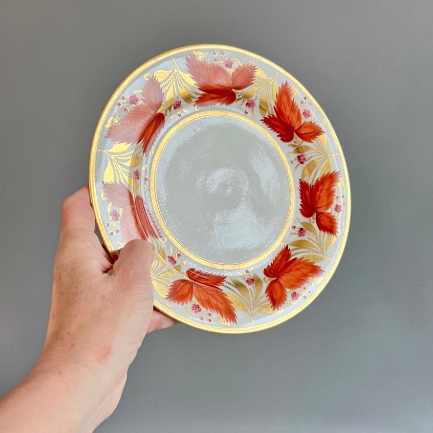 Dies ist eine fabelhafte Reihe von großen Platten von Barr, Flight & Barr zwischen 1804 und 1813 gemacht. Die Teller sind mit einem schönen und berühmten Muster aus leuchtend eisenroten/orangenen Ranken, kleinen rosa Beeren und Gold verziert.

Ich