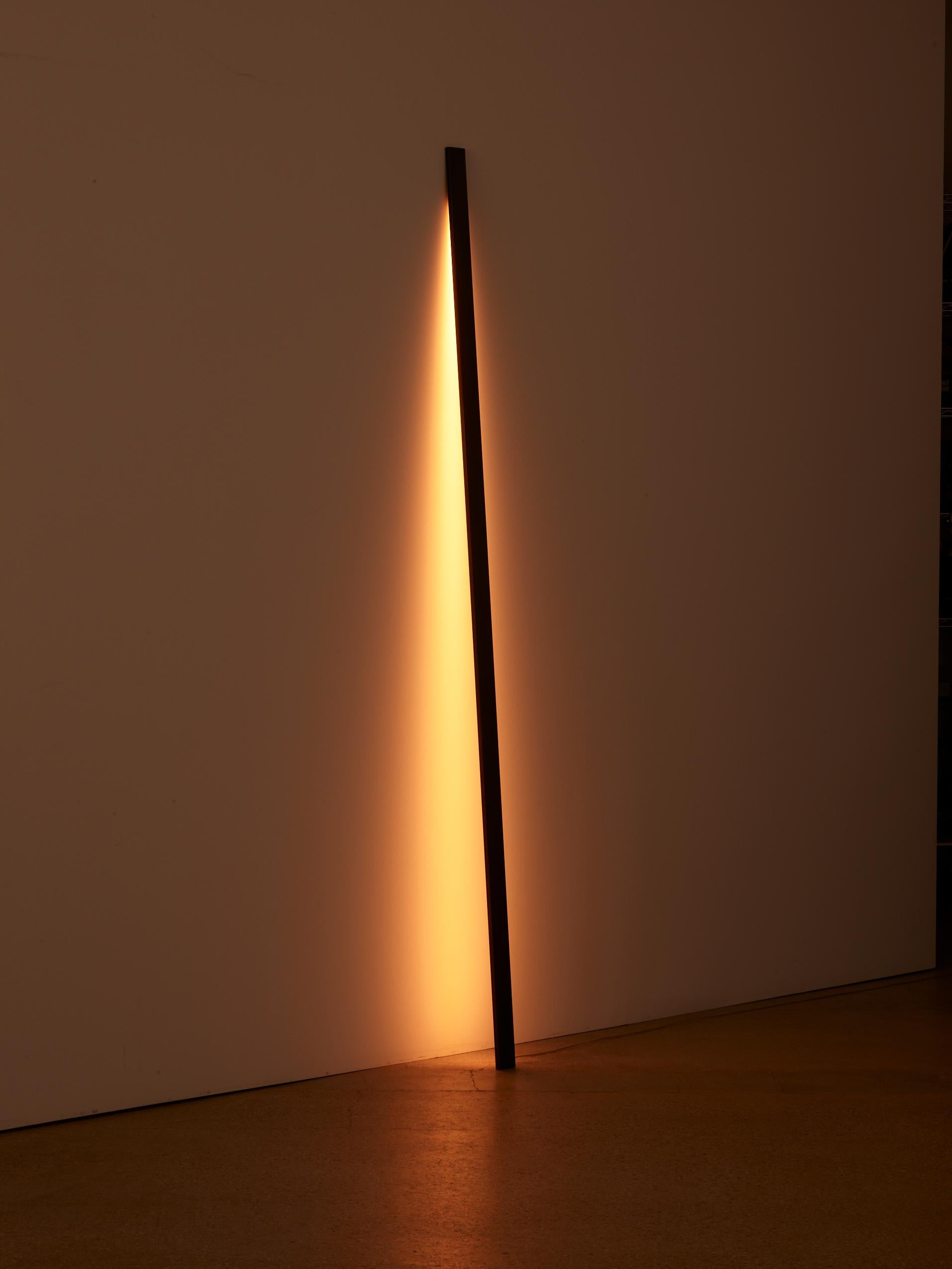 Contemporary Barra Lamp by Umberto Bellardi Ricci For Sale