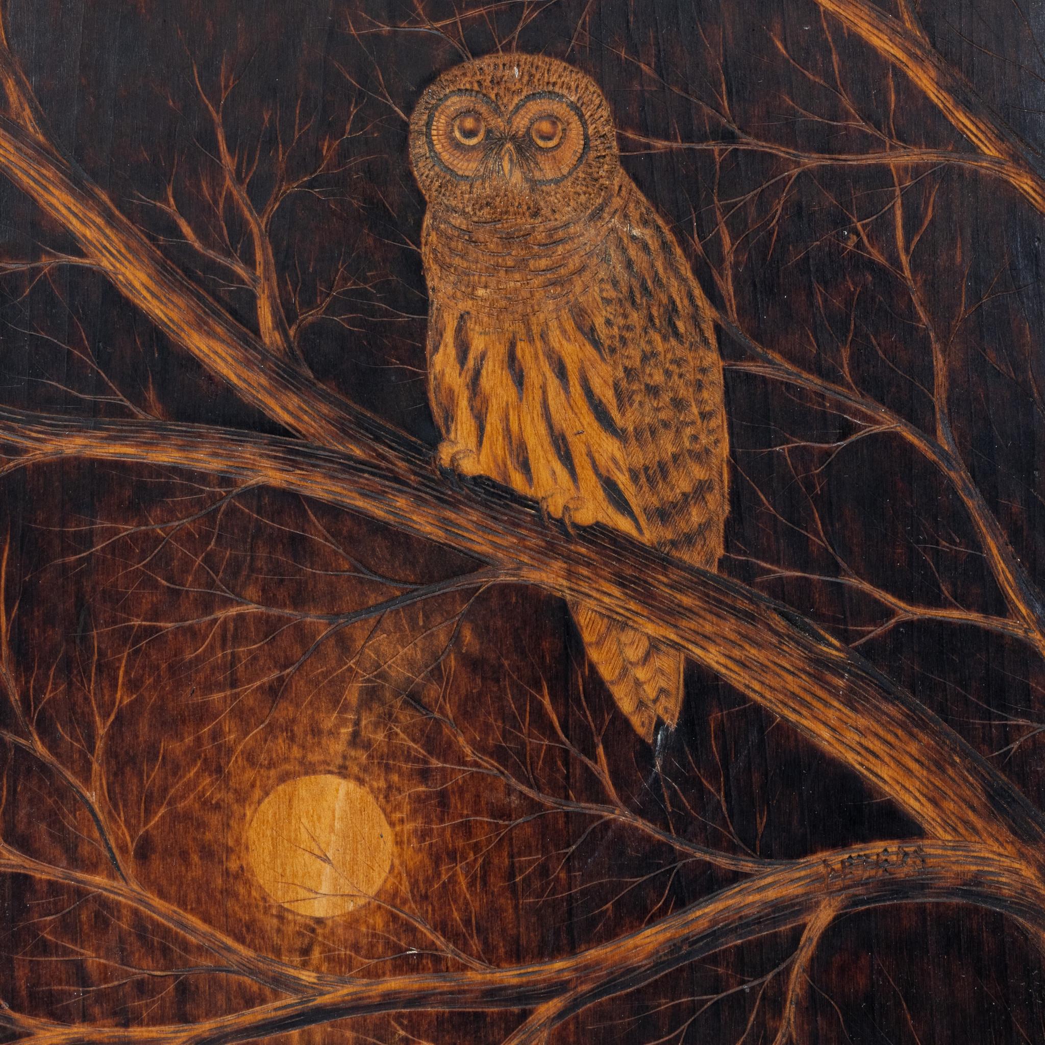 Barred Owl