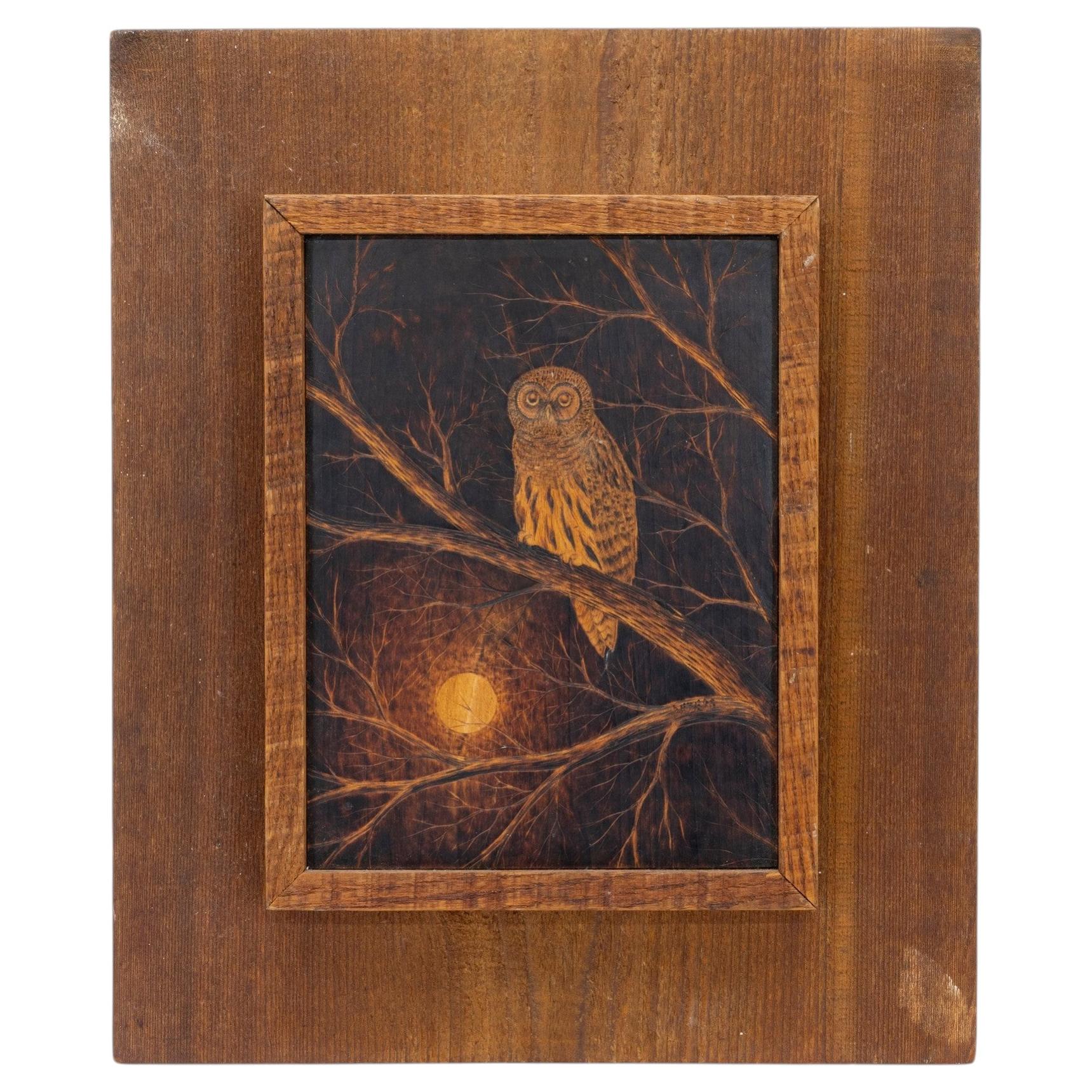 Barred Owl