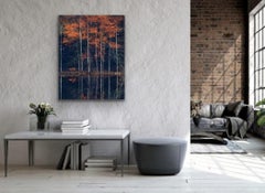 Blood and Water by Barry Cawston. Autumn leaves reflect in water in dark forest