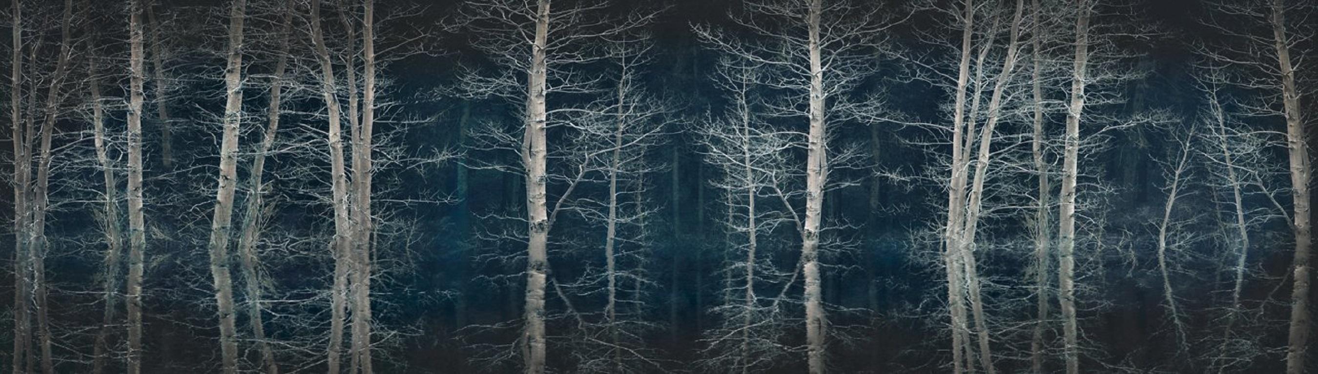 The calm serenity of a frozen forest at night.  An image of silence.
–
Cawston’s landscapes are filled with delicate harmonious tones.  They resonate feeling and leave the viewer rapt, lost in the detail as if listening to the echoes of a
