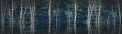 La Forêt bleue de Barry Cawston. panoramique de 150 cm de large avec montage à visage en acrylique
