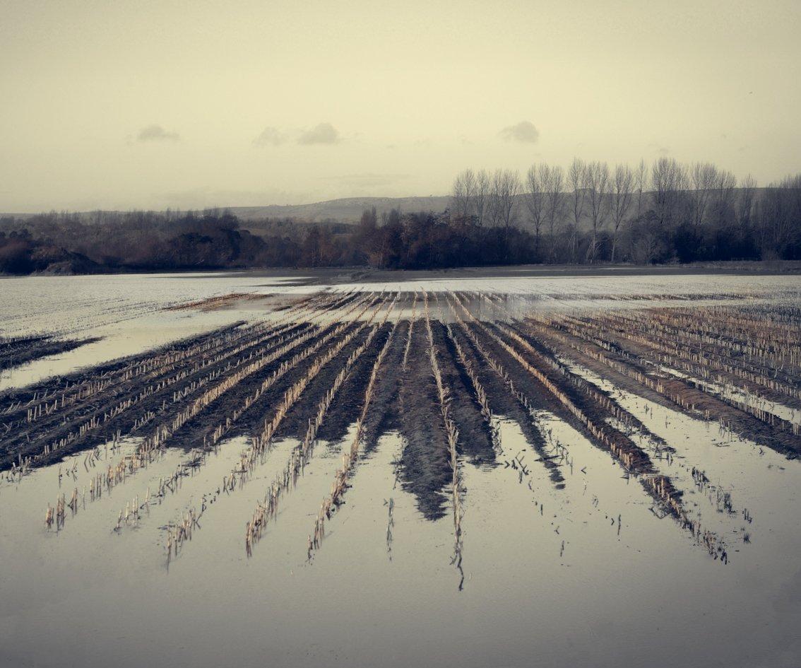 The symmetry of flooded fields on a cold day on the Somerset levels
–
Cawston’s landscapes are filled with delicate harmonious tones.  They resonate feeling and leave the viewer rapt, lost in the detail as if listening to the echoes of a