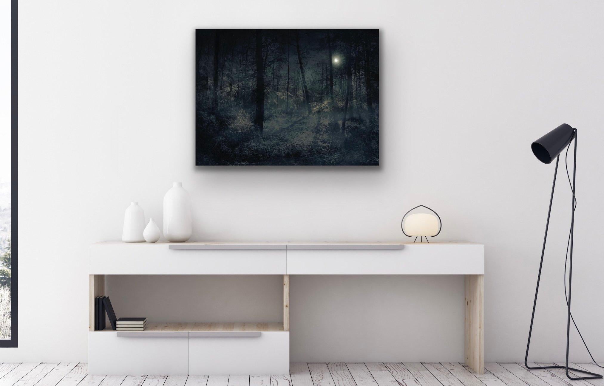 Harvest Moon von Barry Cawston 90 x 75cm C-Typ-Fotodruck mit Acryl-Gesichtshalterung, Harvest Moon im Angebot 1