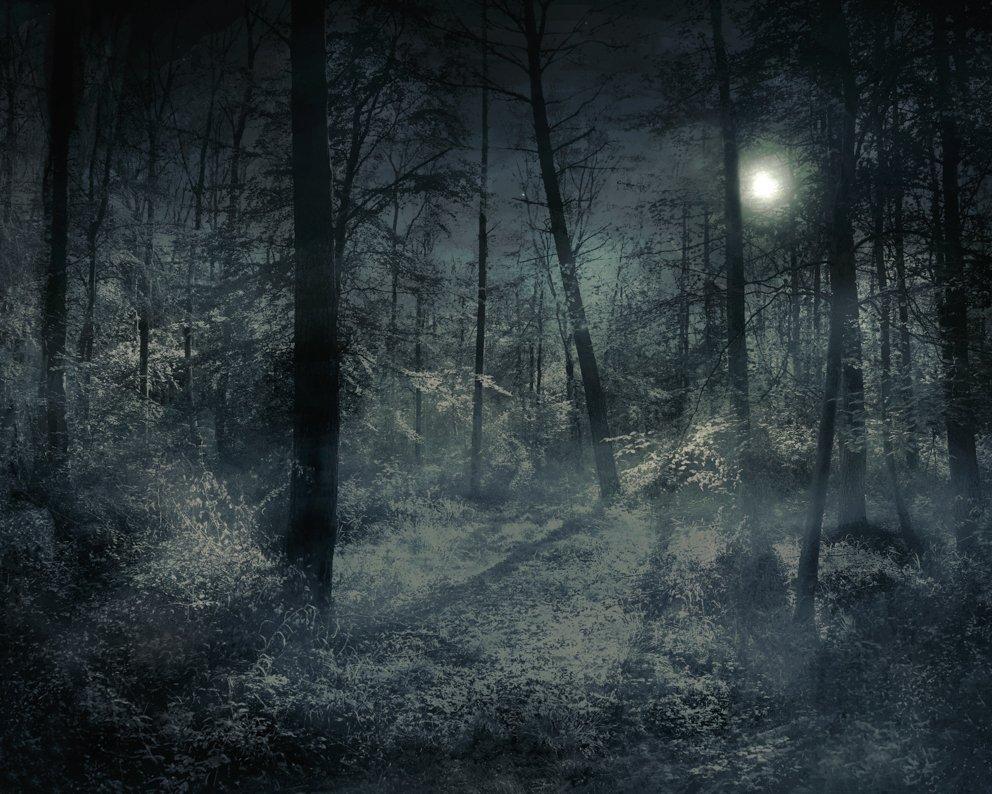 A moonlit mystic forest.
–
Cawston’s landscapes are filled with delicate harmonious tones.  They resonate feeling and leave the viewer rapt, lost in the detail as if listening to the echoes of a half-remembered symphony.  Poetical visions of paths