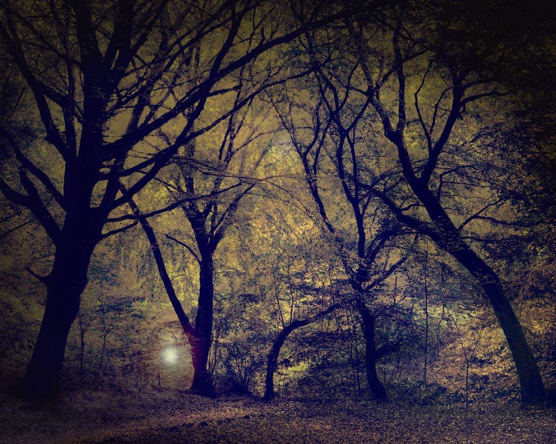 Linterna en el bosque.
–
Los paisajes de Cawston están llenos de delicados tonos armoniosos.  Resuenan sentimientos y dejan al espectador embelesado, perdido en los detalles como si escuchara los ecos de una sinfonía medio recordada.  Visiones