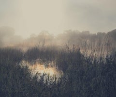 Reed Beds by Barry Cawston. Medium Photographic Print with Acrylic Face Mount