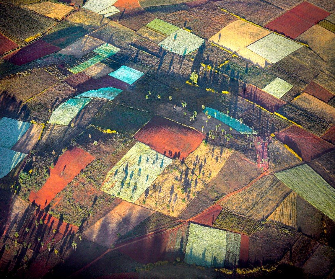 Eine Landschaft aus Blumen und Feldern wie ein Wandteppich
-
Cawstons Landschaften sind von zarten, harmonischen Tönen geprägt.  Sie vermitteln ein Gefühl und lassen den Betrachter verzückt zurück, der sich in den Details verliert, als lausche er
