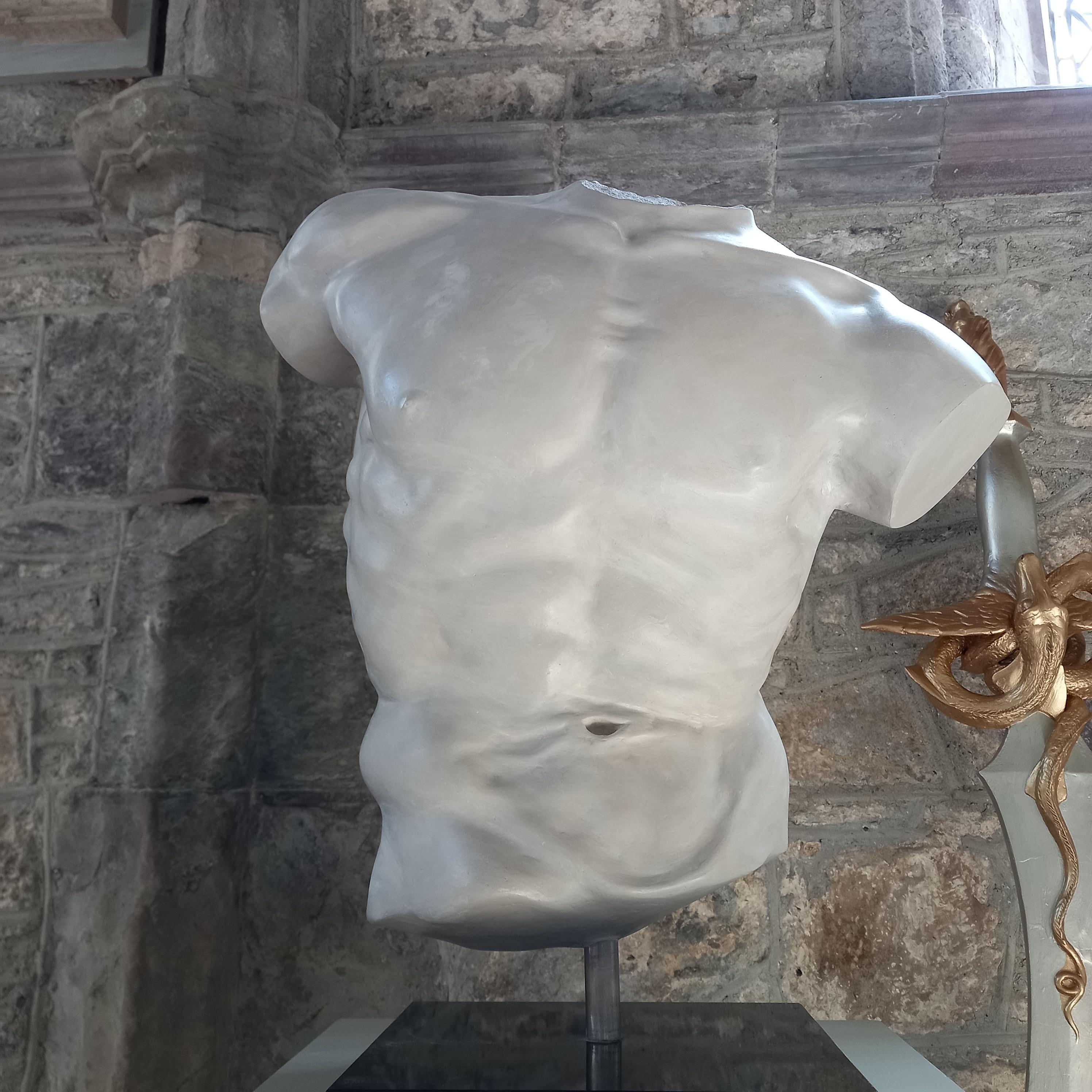 Discus Thrower's Torso For Sale 6