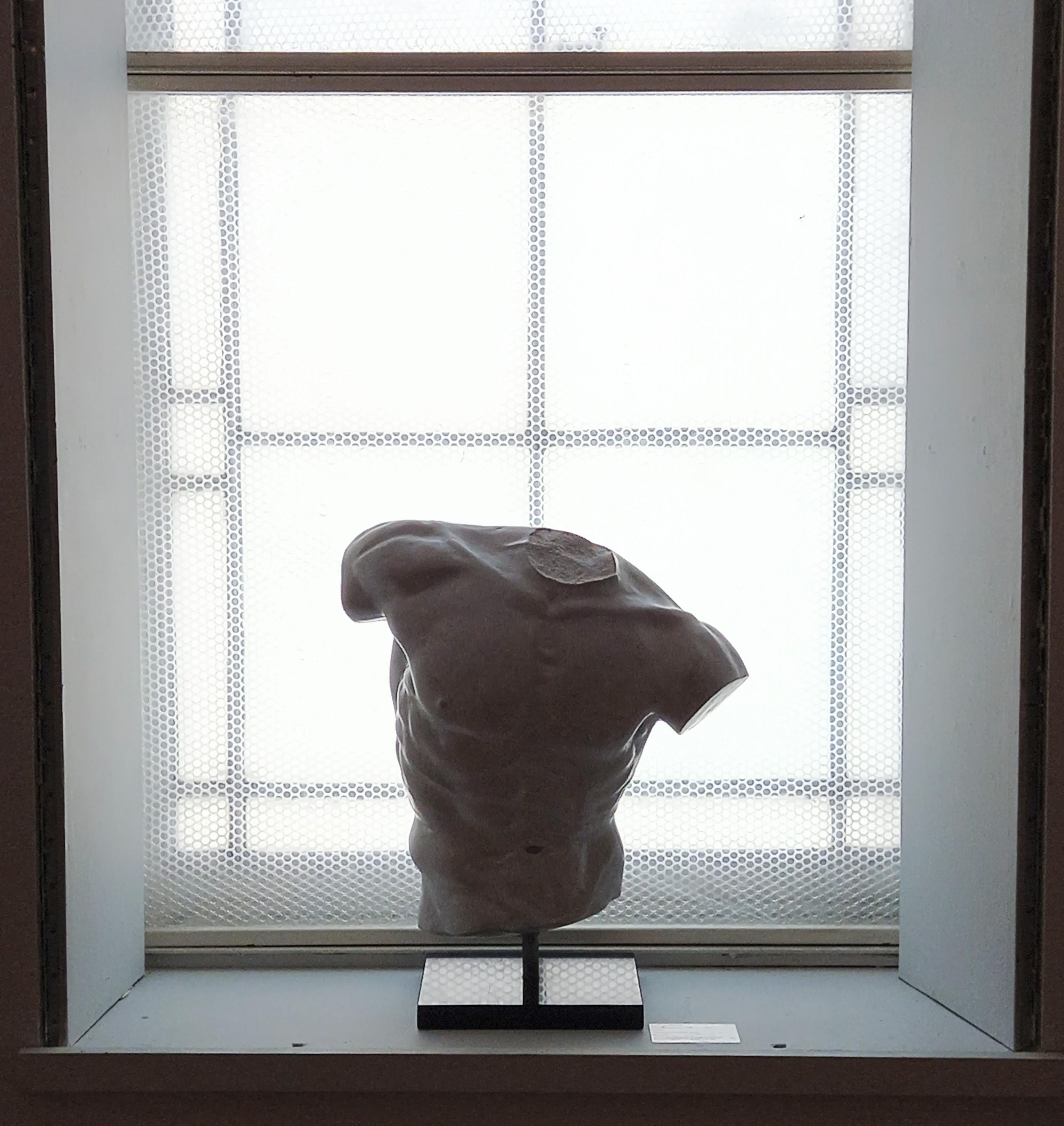 Discus Thrower's Torso For Sale 10