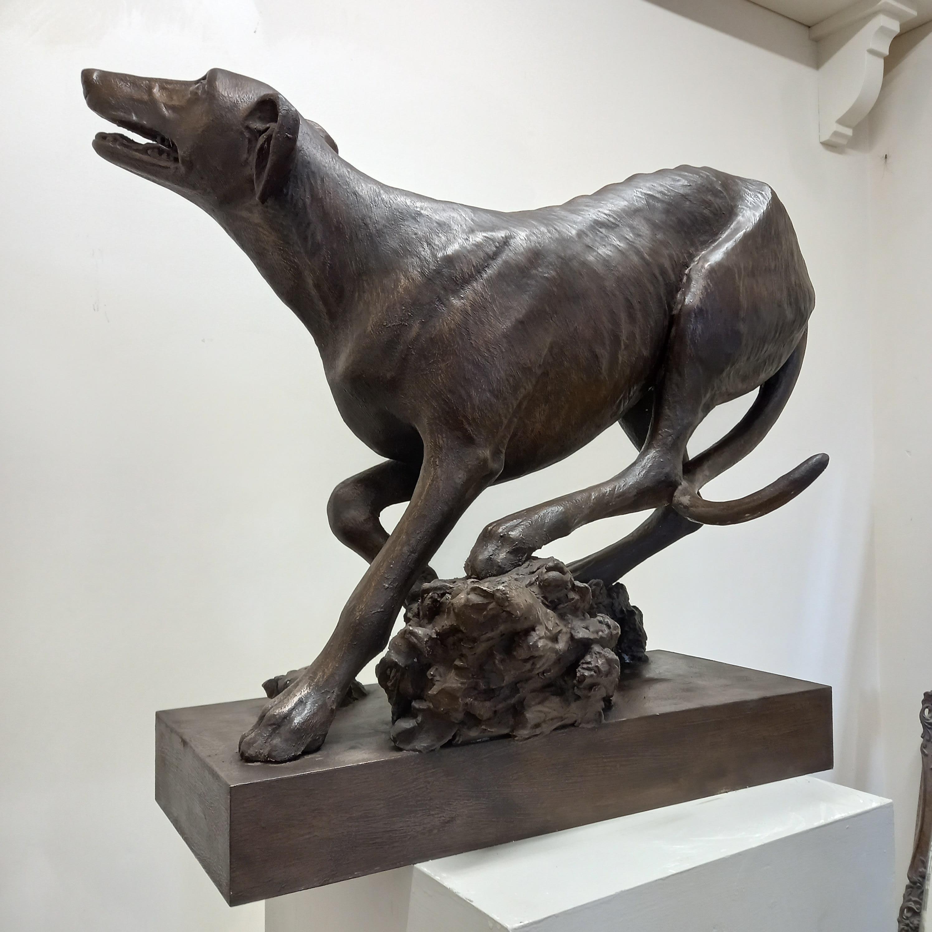 Windhund (Barock), Sculpture, von Barry Davies 