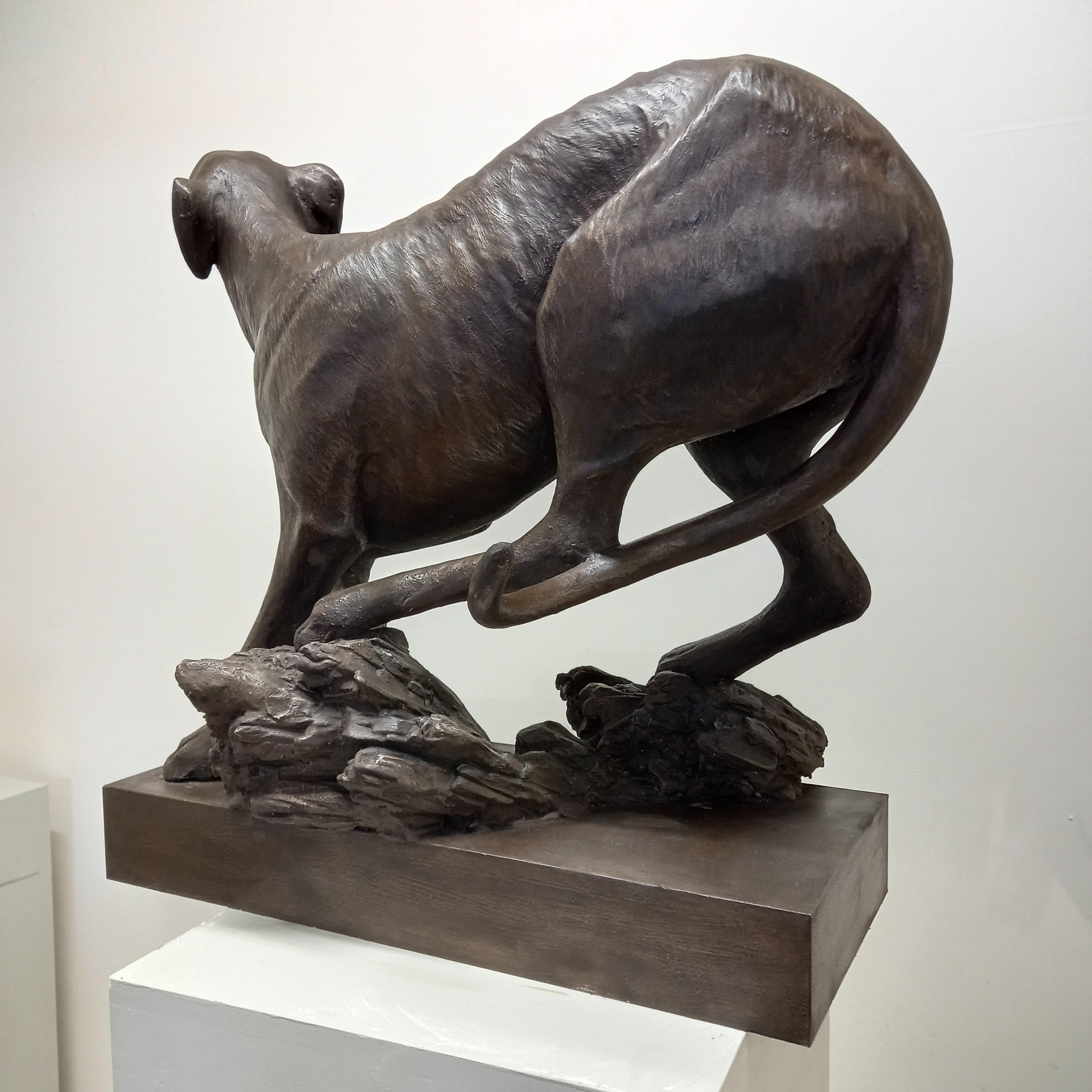 Windhund (Gold), Figurative Sculpture, von Barry Davies 