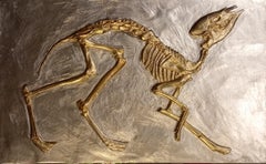 Herbivore fossil 