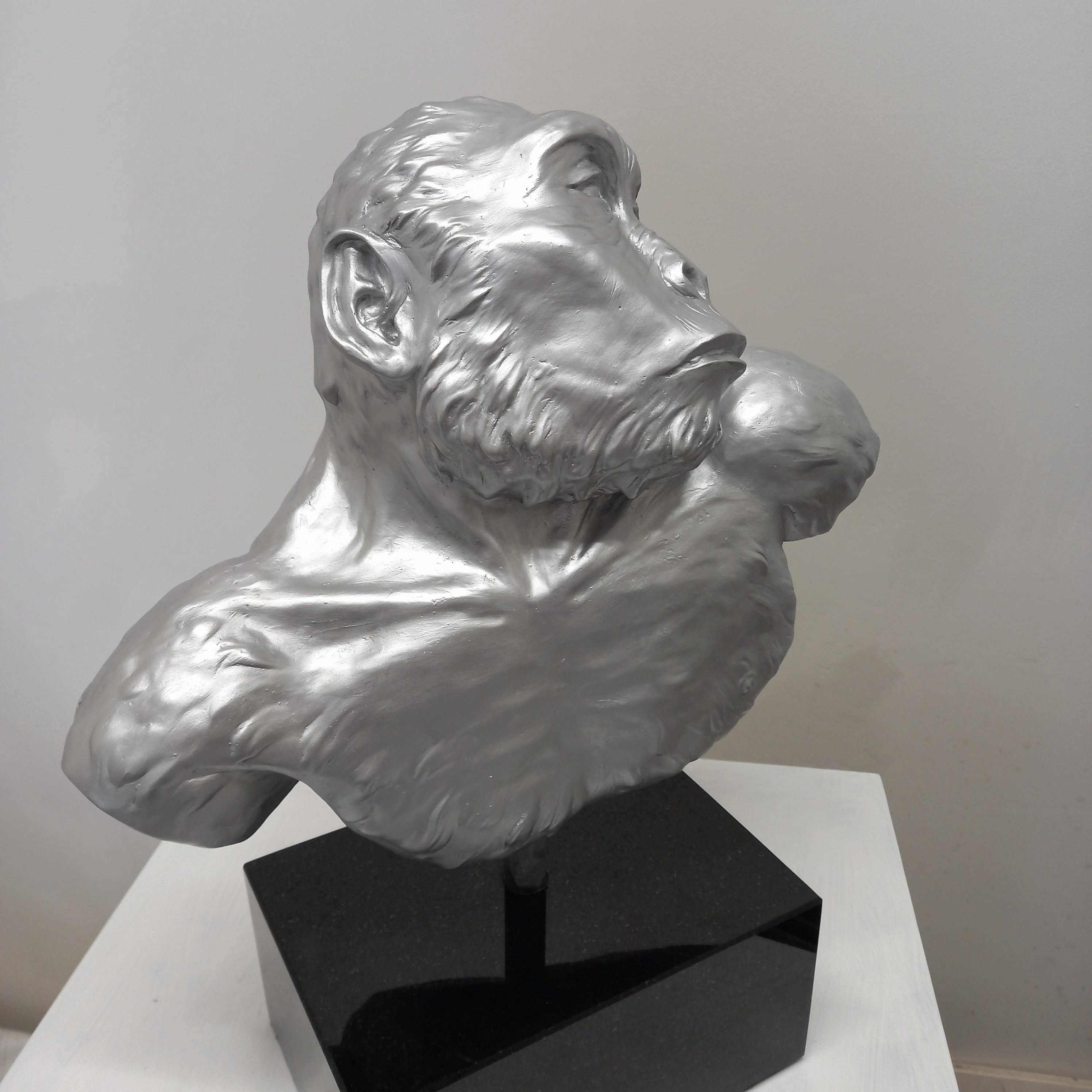 Paranthropus Robustus  - Naturalistic Sculpture by Barry Davies 