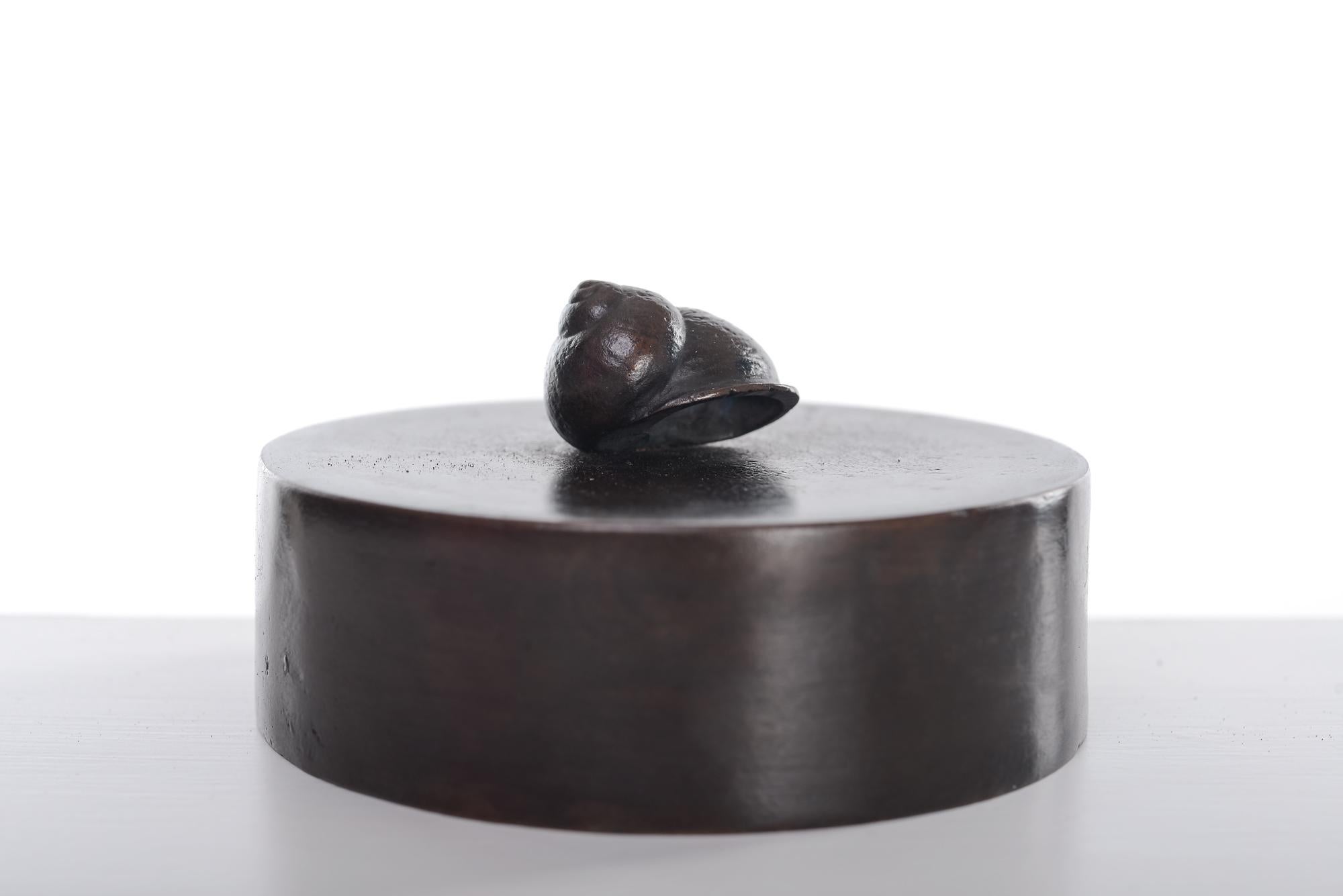 Barry Davies  Figurative Sculpture - Snail shell