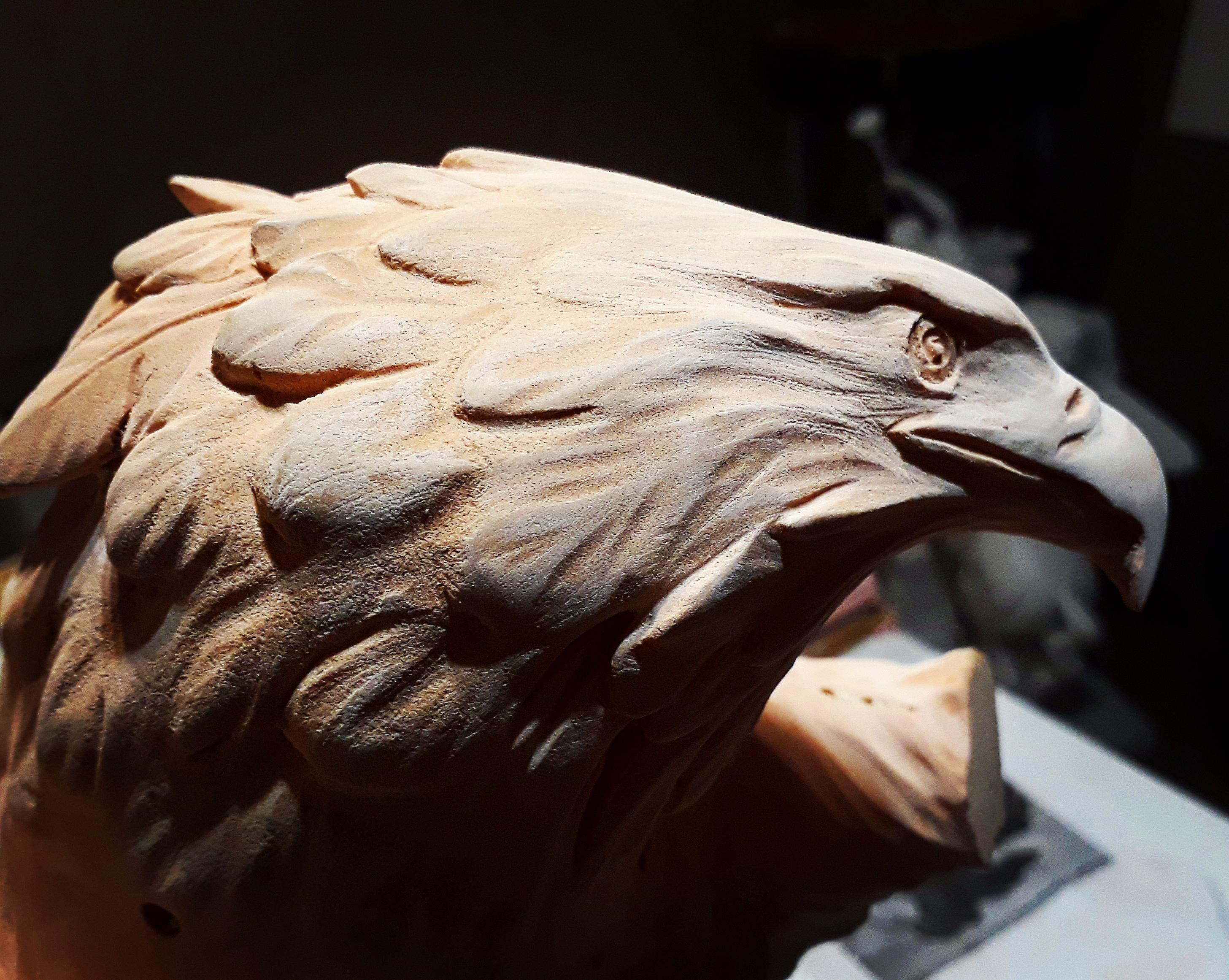 White tailed sea eagle and crab - Sculpture by Barry Davies 