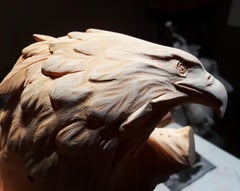White tailed sea eagle and crab