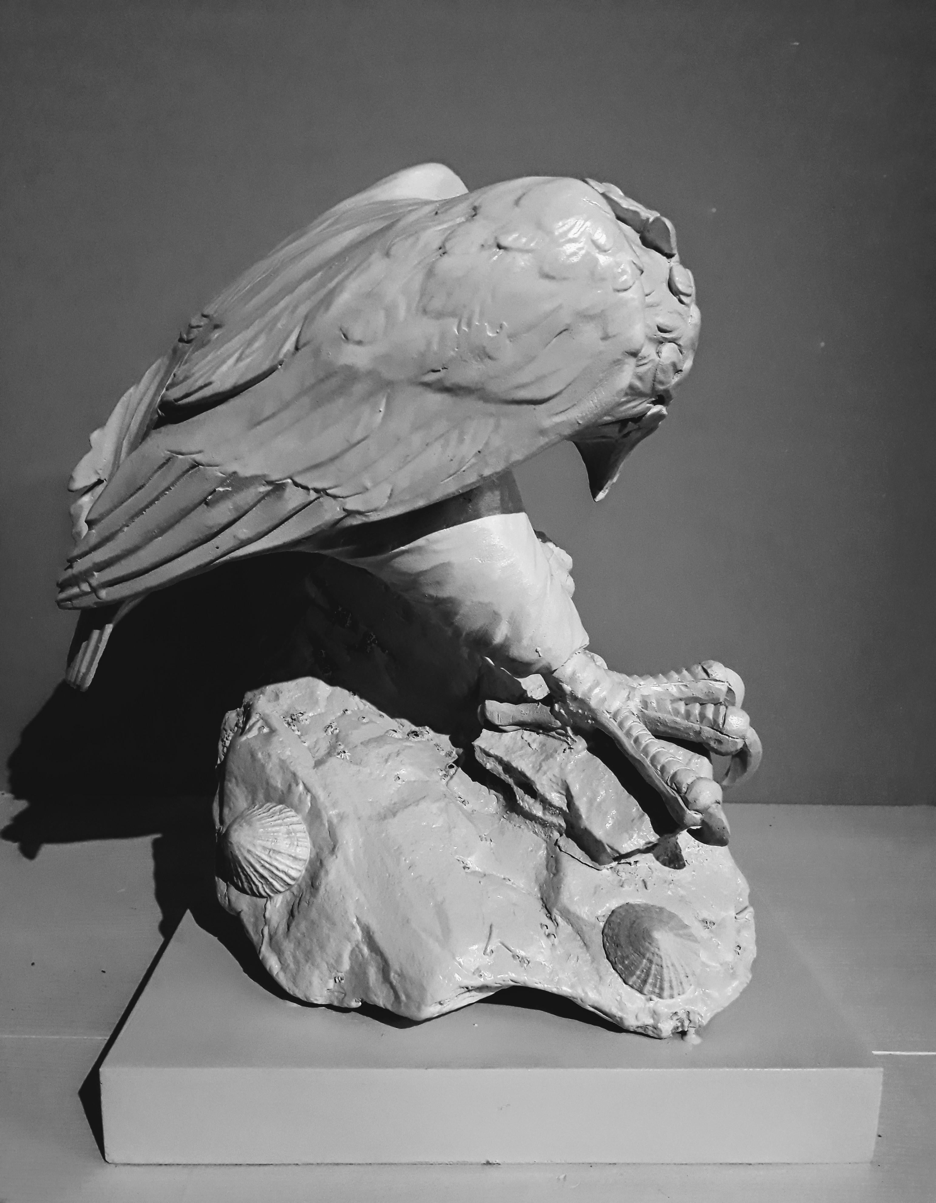 Weißer tailed sea eagle und Krabbe in Weiß (Barock), Sculpture, von Barry Davies 