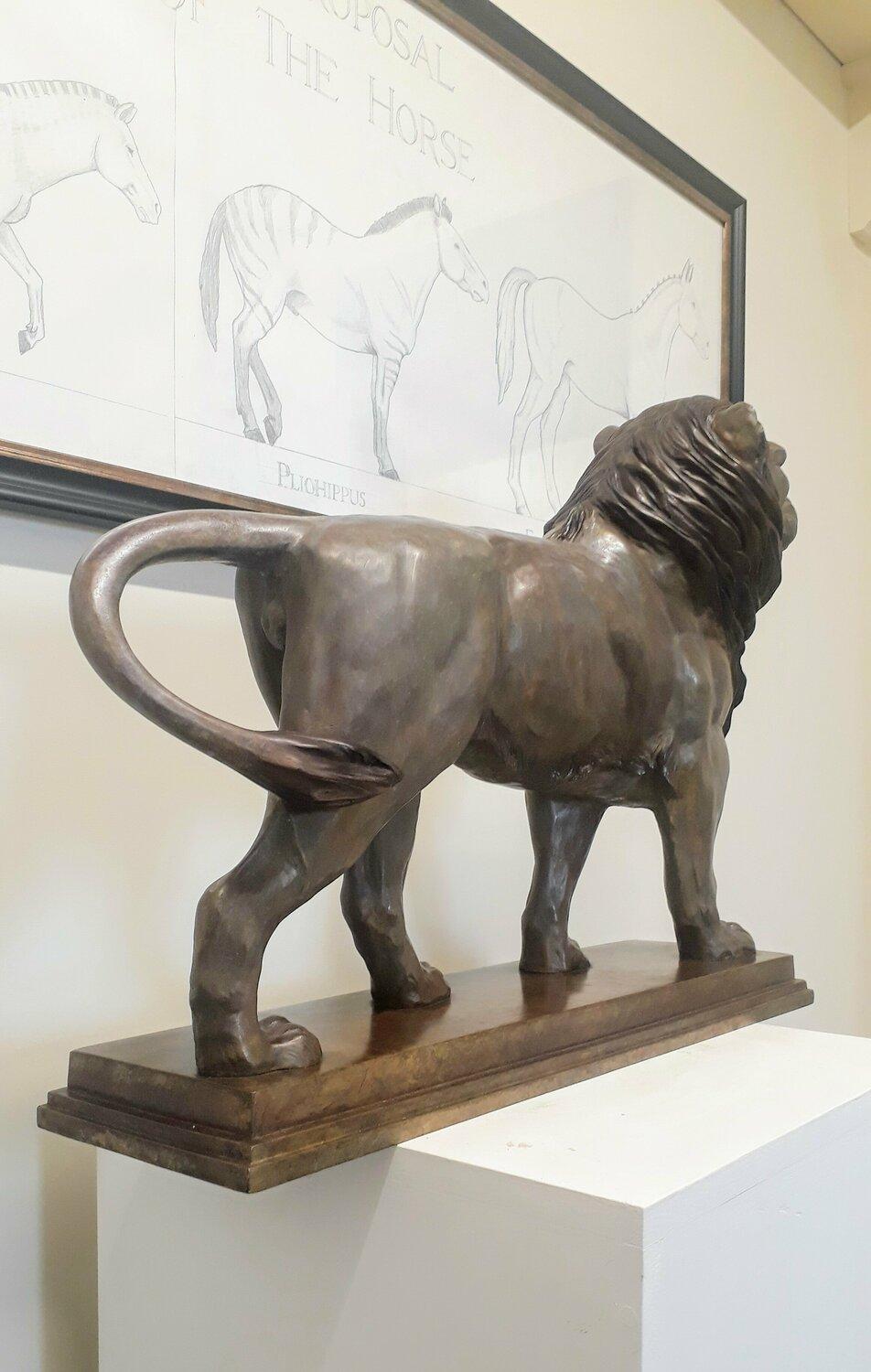 Étude anatomique d'un lion - Renaissance nordique Sculpture par Barry Davies
