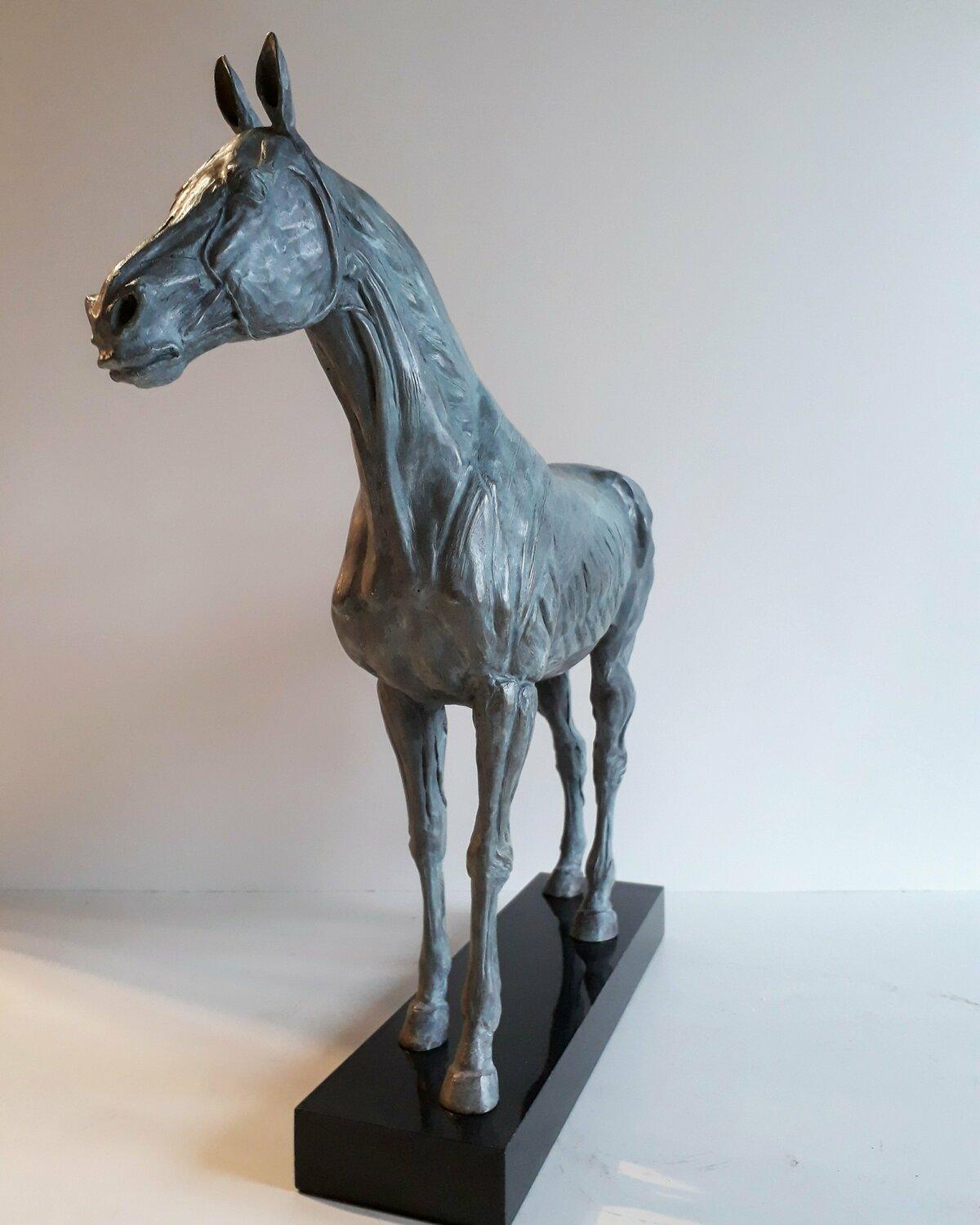 Étude anatomique du cheval - Renaissance nordique Sculpture par Barry Davies
