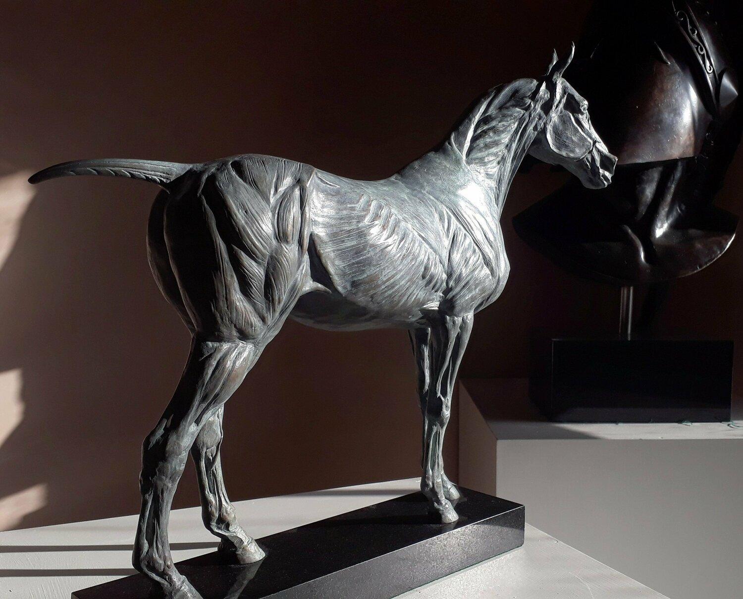 Anatomische Studie über das Pferd (Gold), Figurative Sculpture, von Barry Davies