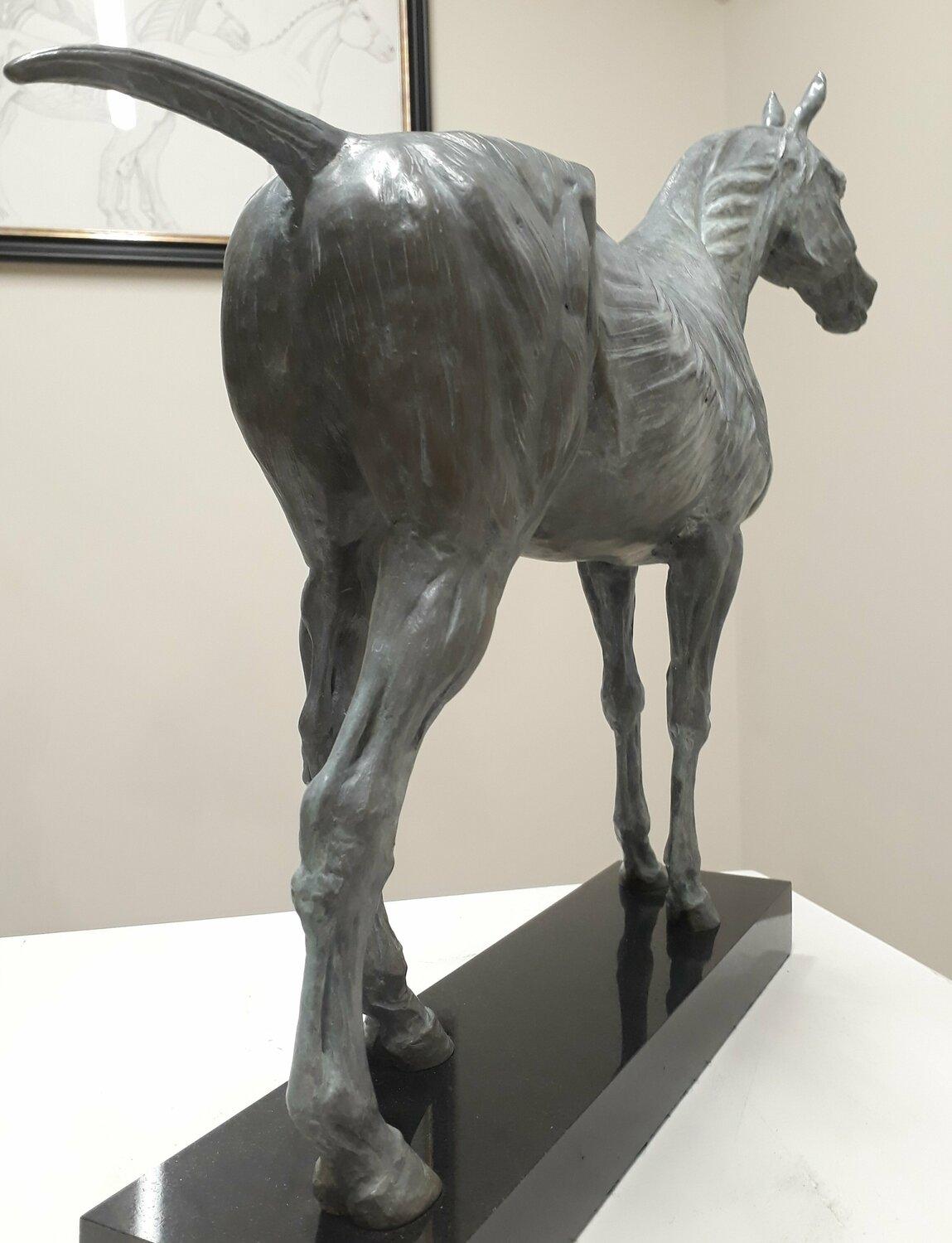 Passionné par l'anatomie et la forme naturelle, A. Davies a modelé ce cheval de type hunter/thoroughbred de manière à ce qu'il présente les caractéristiques inhérentes à l'animal.  La beauté de son squelette et de sa musculature, où l'anatomie et