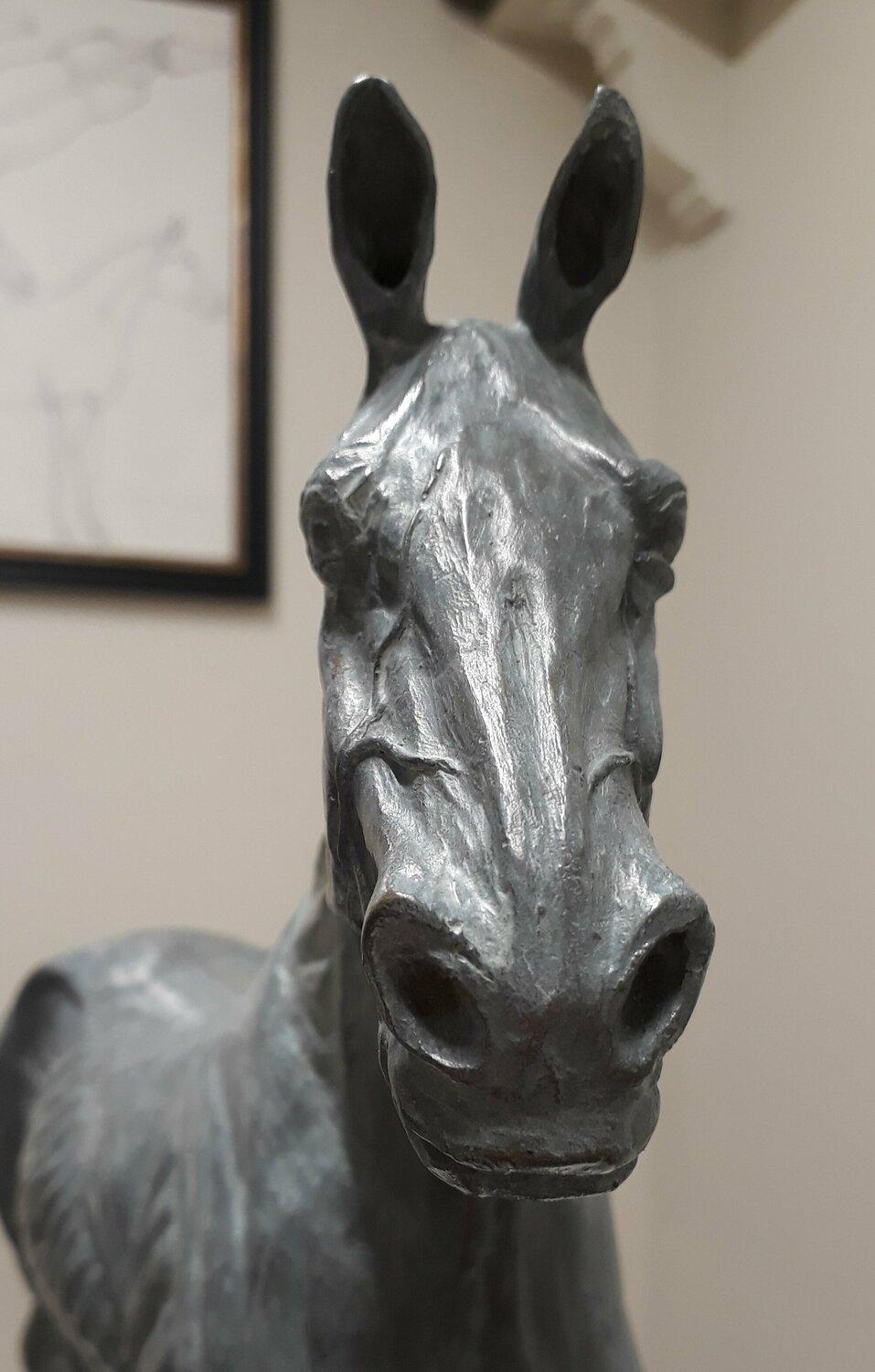Passionate about anatomy and the natural form, Davies modelled this hunter/thoroughbred type horse in a way that exhibits the inherent  beauty of its skeletal shape and musculature, where anatomy and artistic interpretation work together in harmony