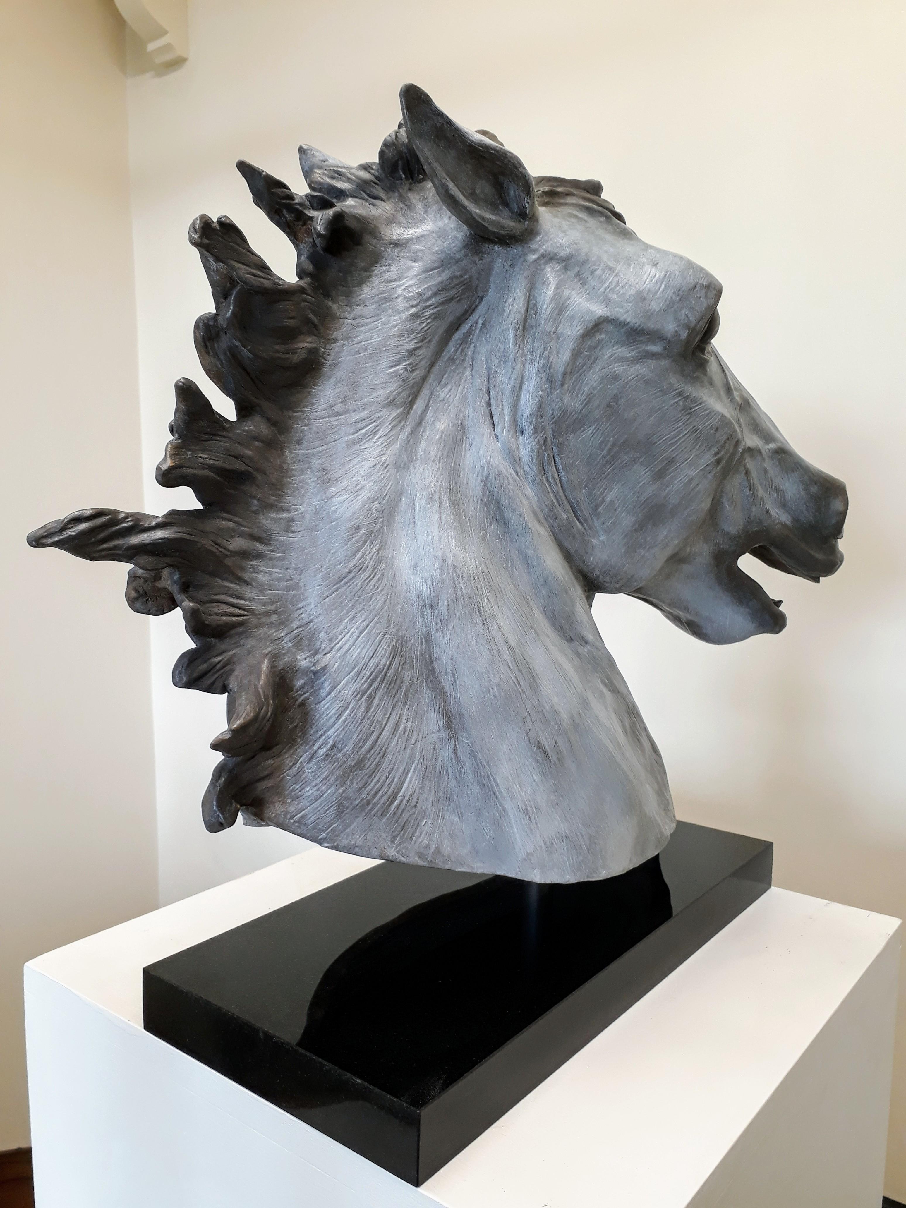 Equus Caballus (modern horse) - Sculpture by Barry Davies