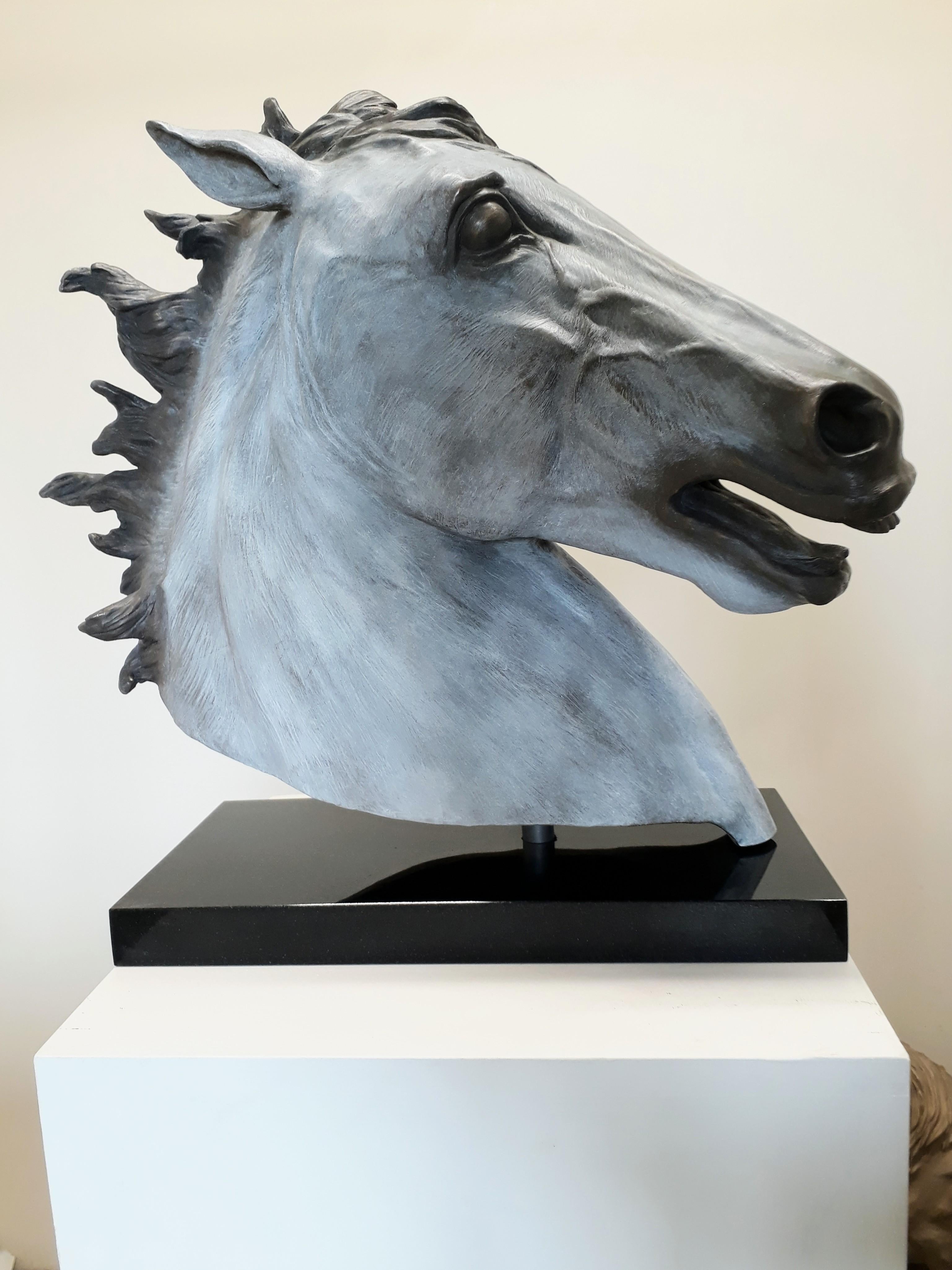 Barry Davies Figurative Sculpture - Equus Caballus (modern horse)