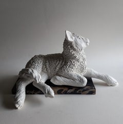 Agnello