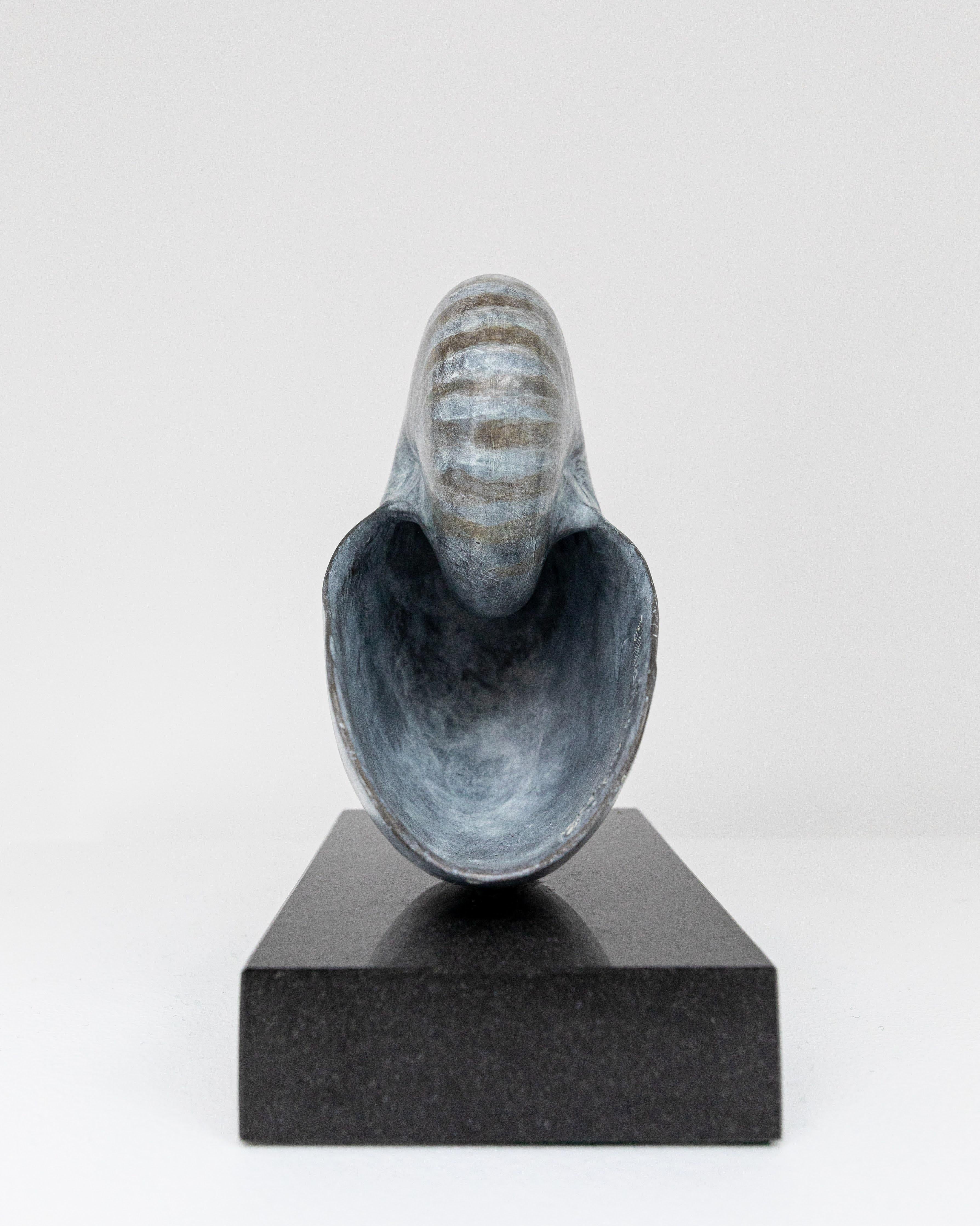 Nautilus - Sculpture by Barry Davies