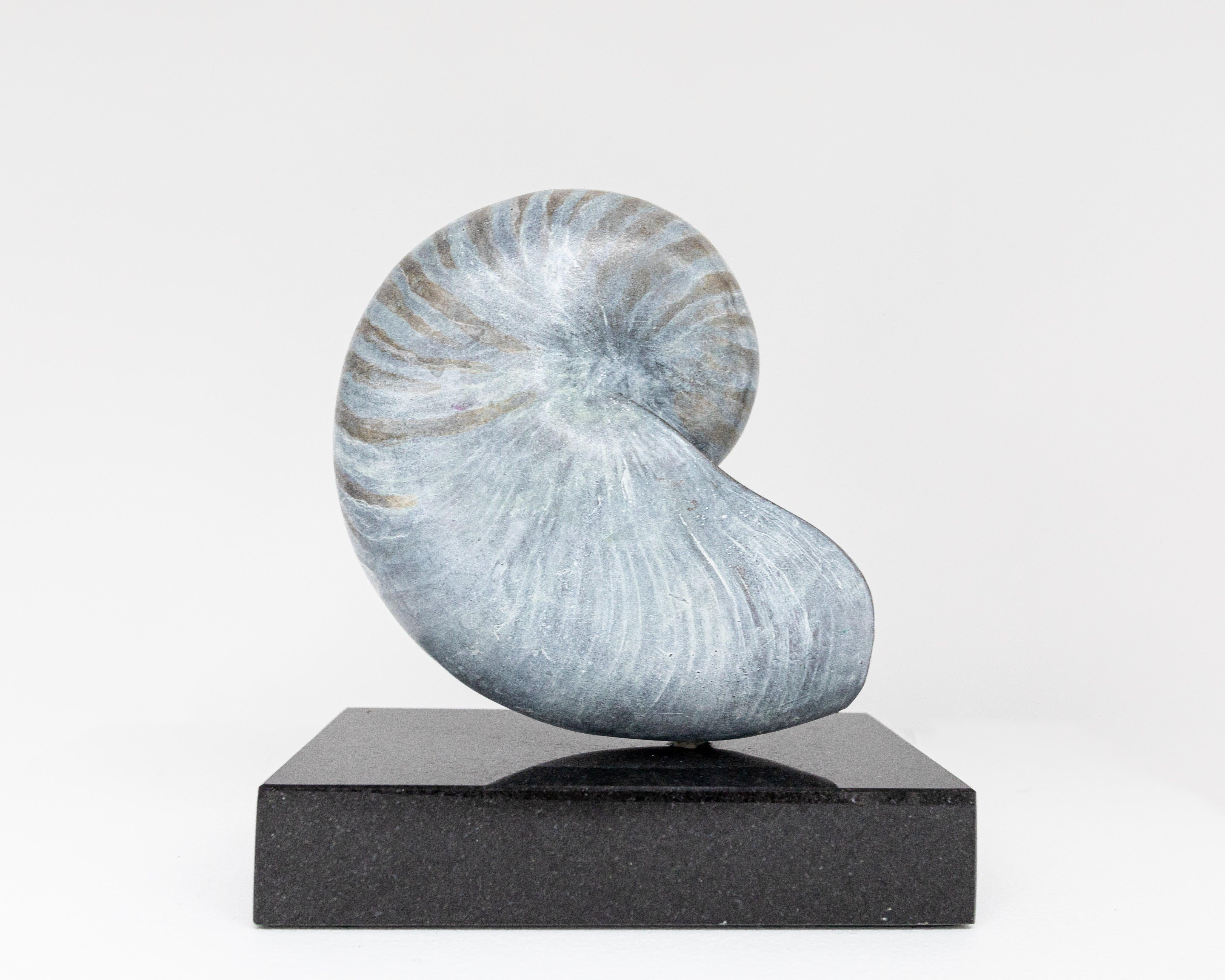 Nautilus - Naturalisme Sculpture par Barry Davies