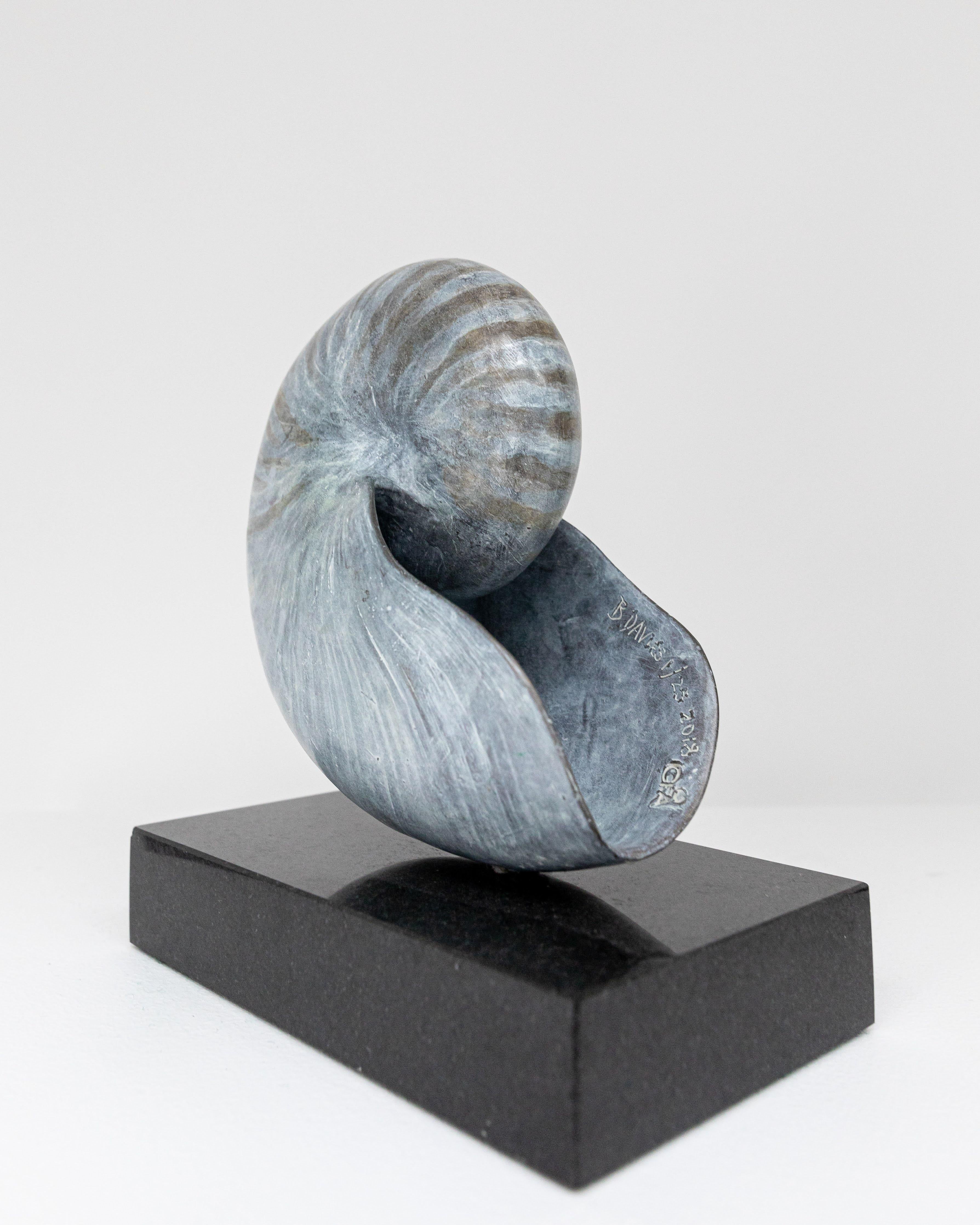 Barry Davies Figurative Sculpture - Nautilus
