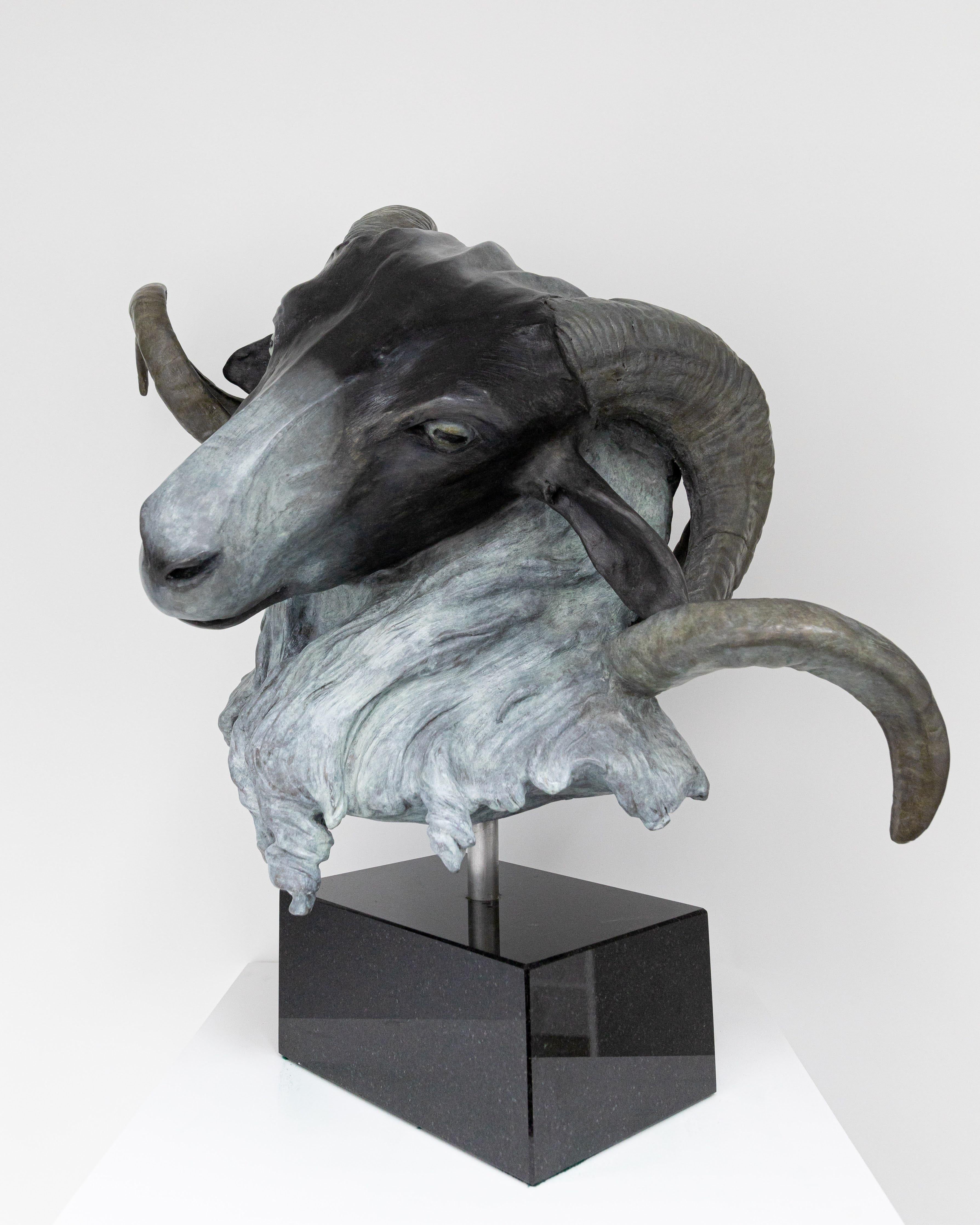 Rams écossais à facettes noires (Ovis Aries) - Sculpture de Barry Davies