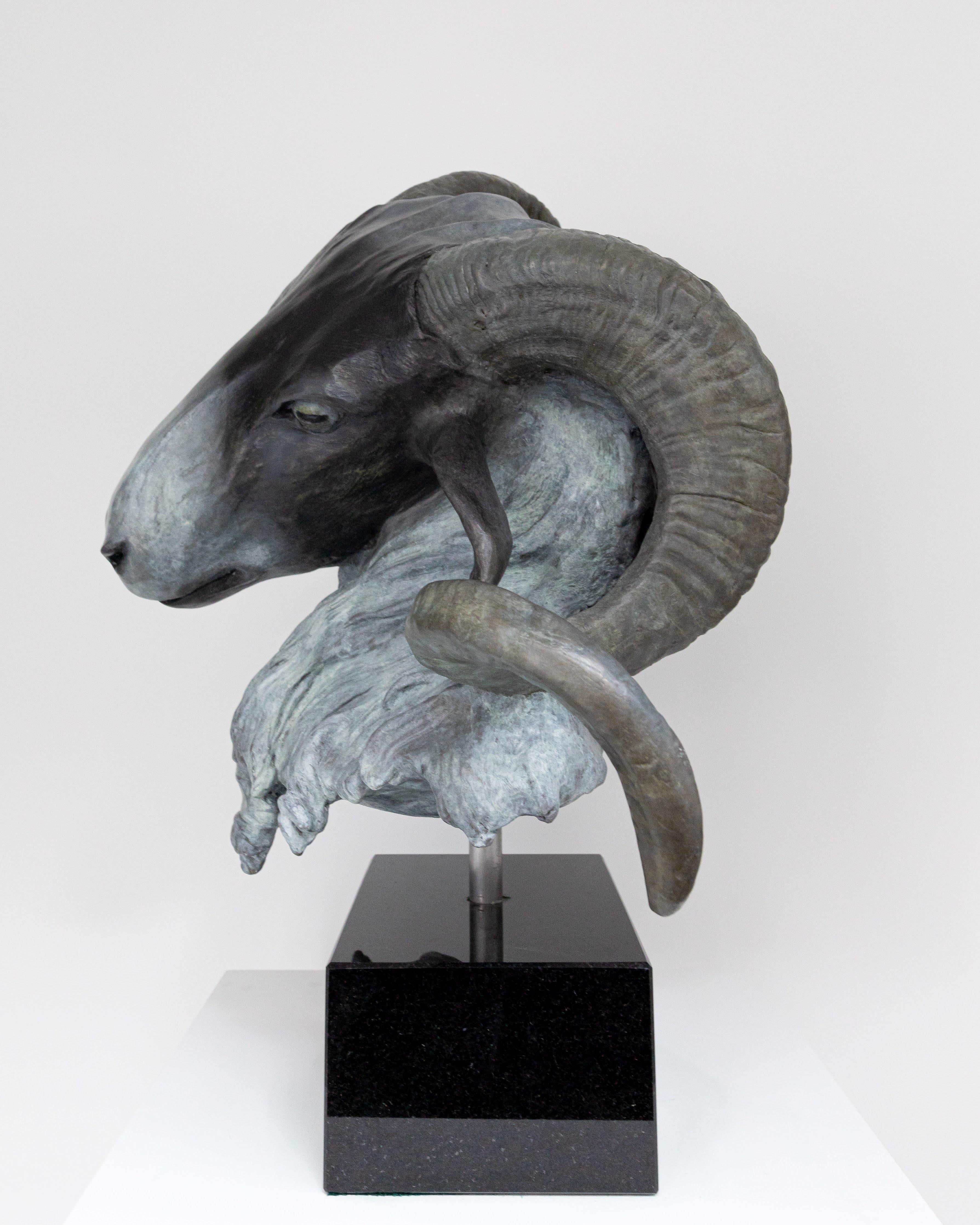 Rams écossais à facettes noires (Ovis Aries) - Naturalisme Sculpture par Barry Davies