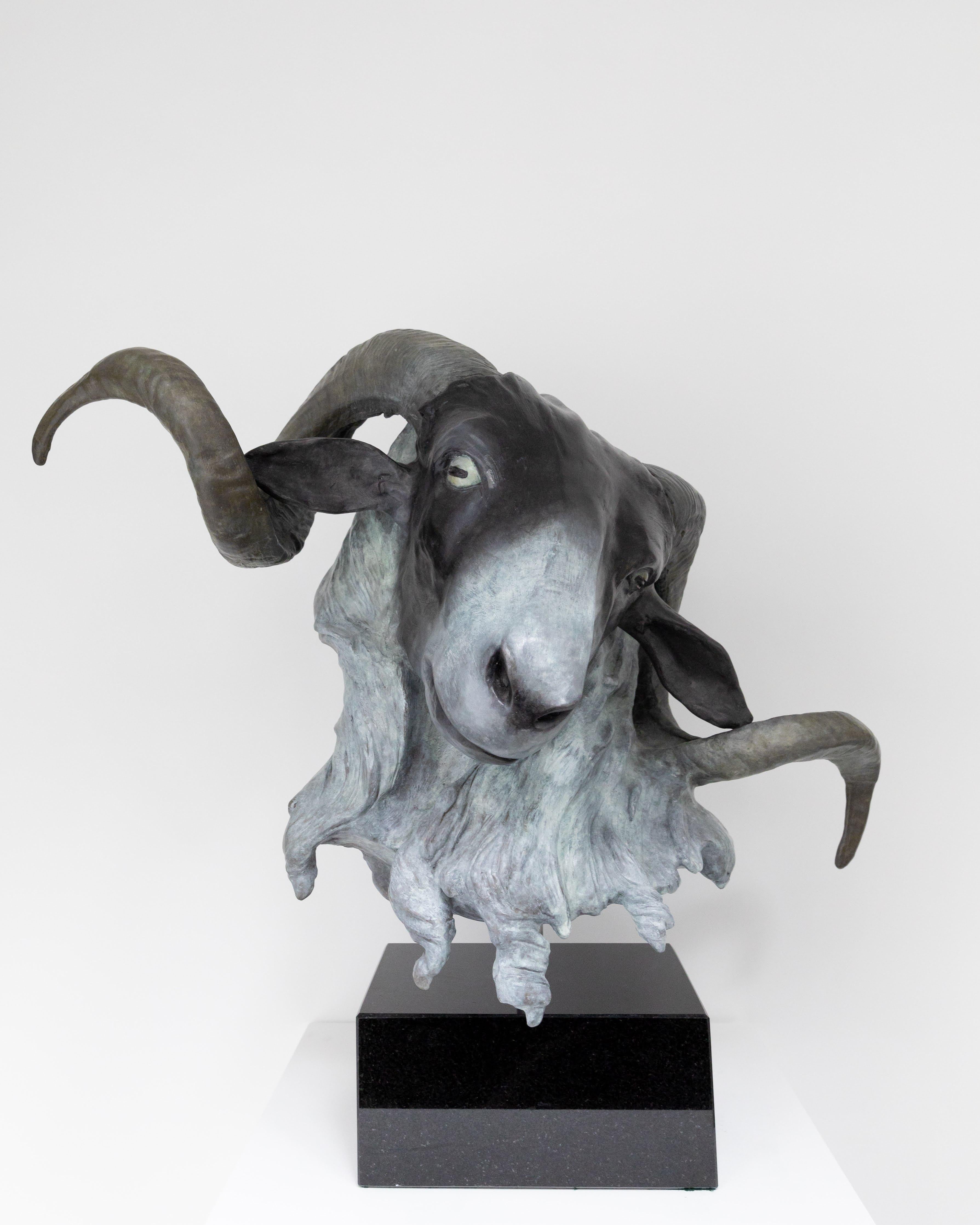 Figurative Sculpture Barry Davies - Rams écossais à facettes noires (Ovis Aries)
