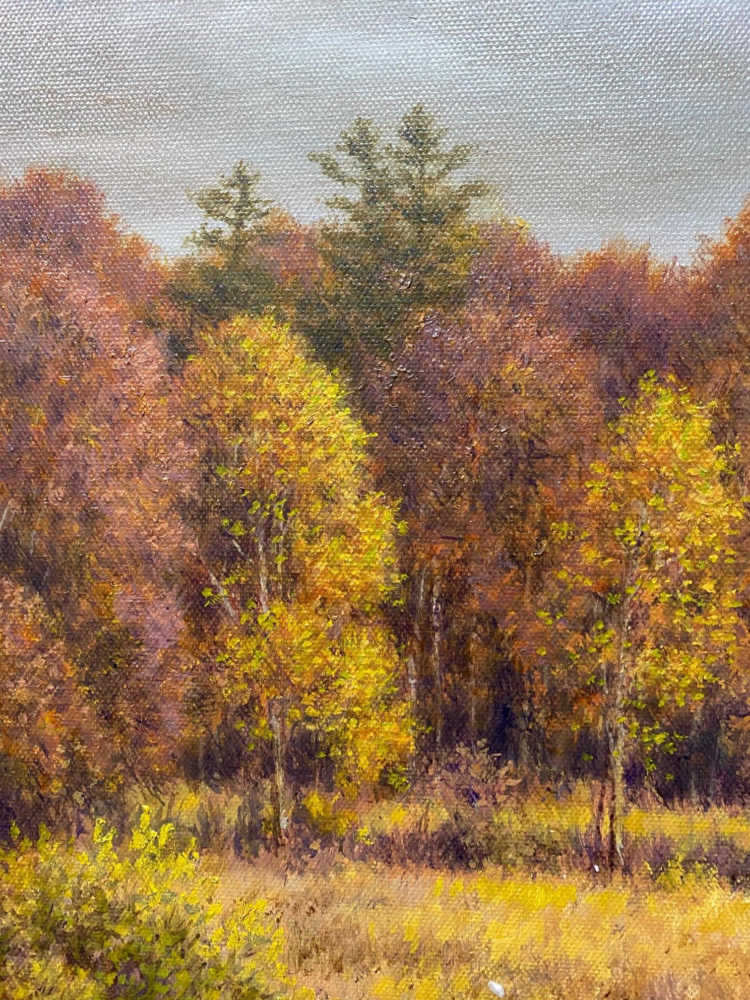 Le mâle se tient fièrement au bord de la rivière et observe son domaine, évaluant les nuances de bleu, de rouille et d'or de la nature qui lui renvoient l'image.  L'automne est arrivé et l'eau courante sera bientôt gelée alors que les rouges, les