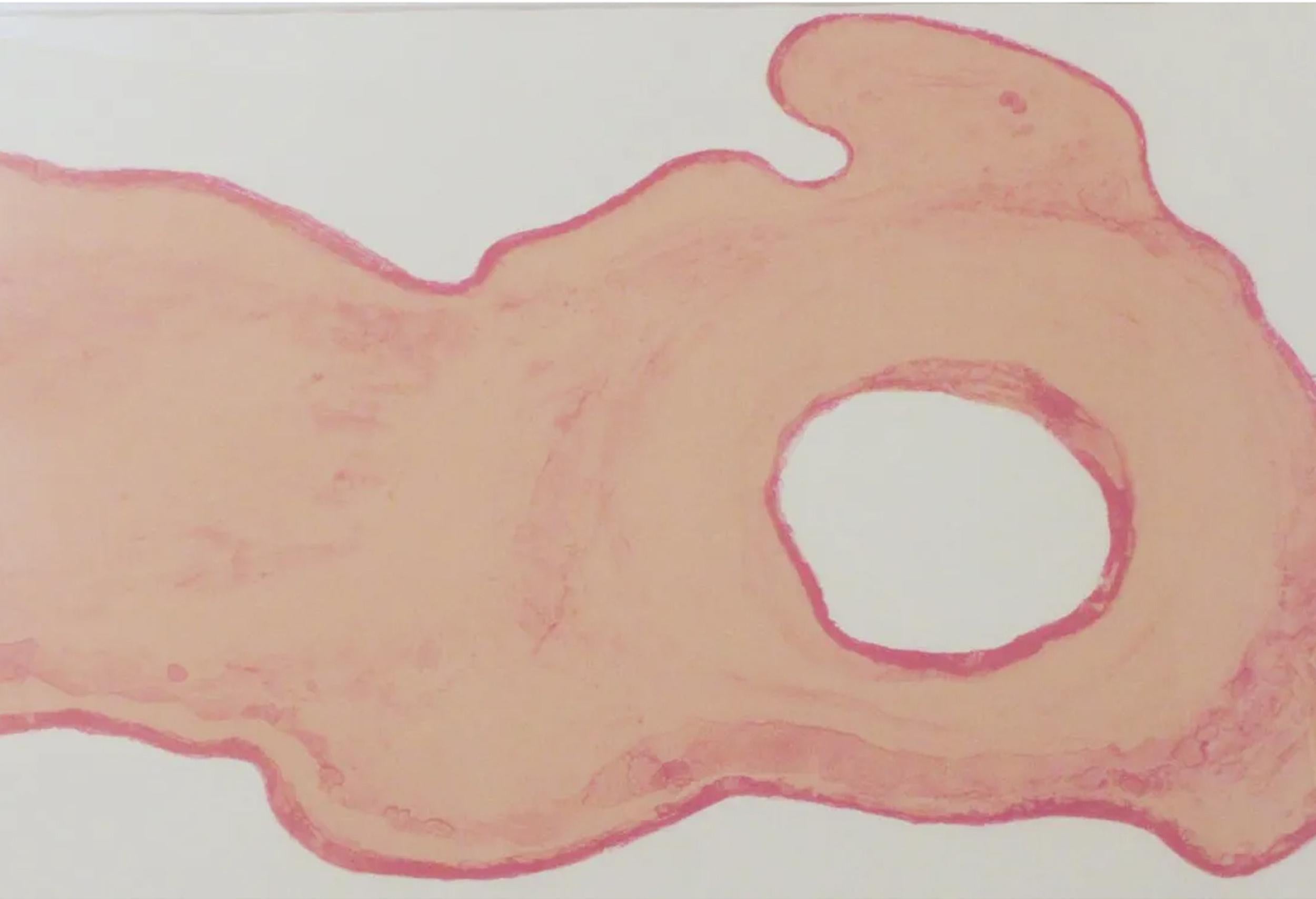 Untitled (Rose, Pink, Abstract, Gestural, Movement) (30% OFF LIST PRICE) - Print by Barry Eisenhart
