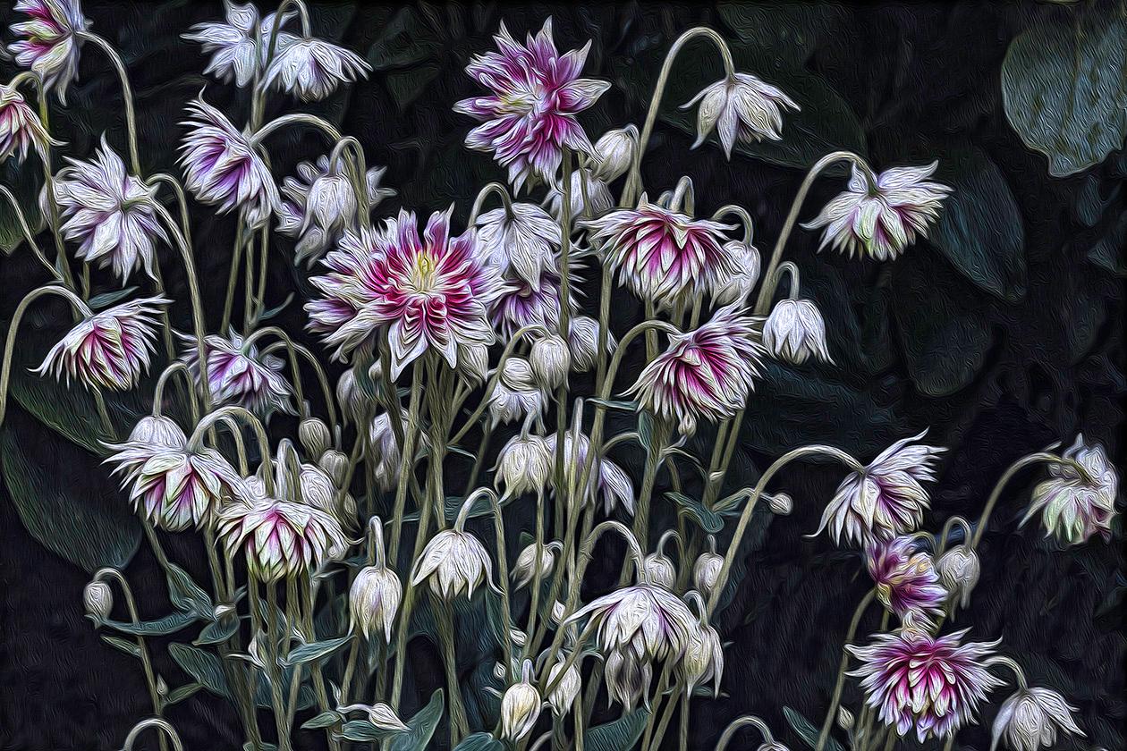 Barry Guthertz Color Photograph – Cornwall  Botanische Familie