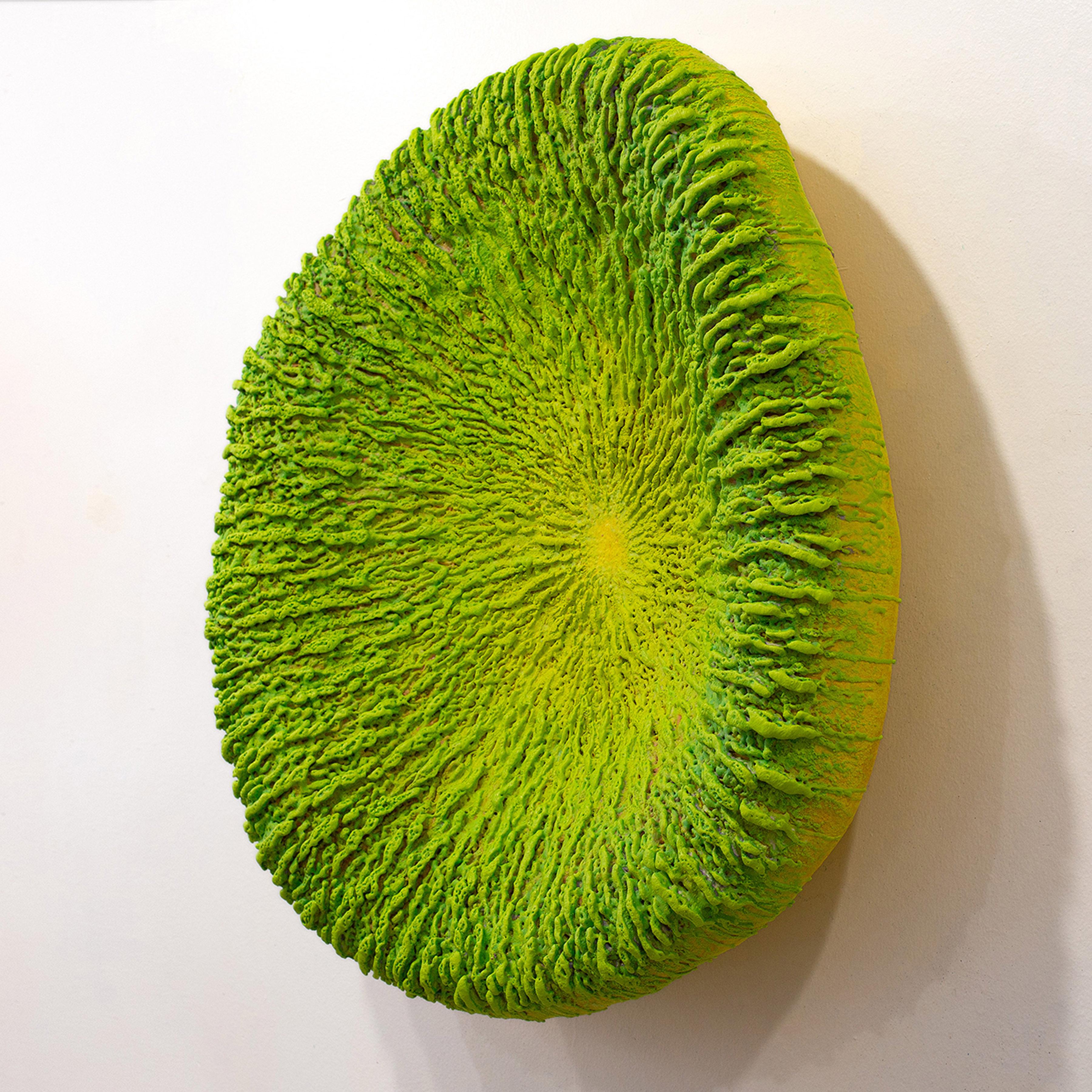 This minimalist green 3D wall piece is by Barry Katz. He creates pieces that allude to the artist looking into a mirror. And in particular, one which reflects inner states. Not a mirror that flatters, far from, but one that tells inescapable truths.