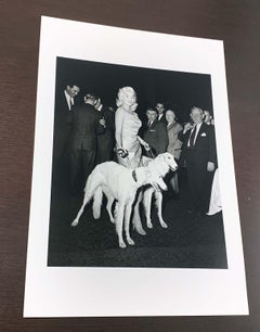 Jayne Mansfield con i cani Seagrams (Edizione limitata di 10, n. 4-5) - 40 "x50"