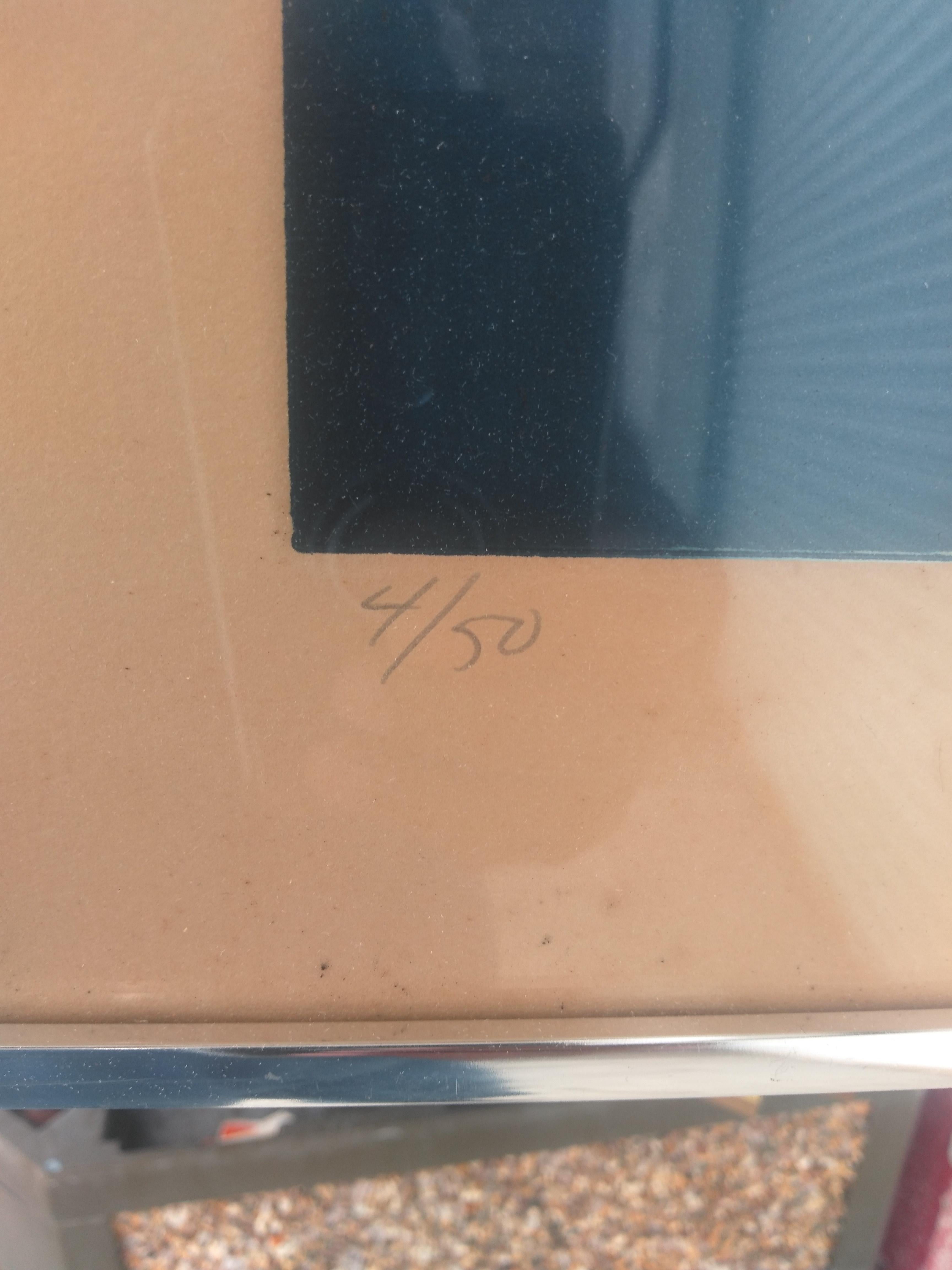 American Barry Nelson Signed & Numbered Lithograph A FLAT For Sale