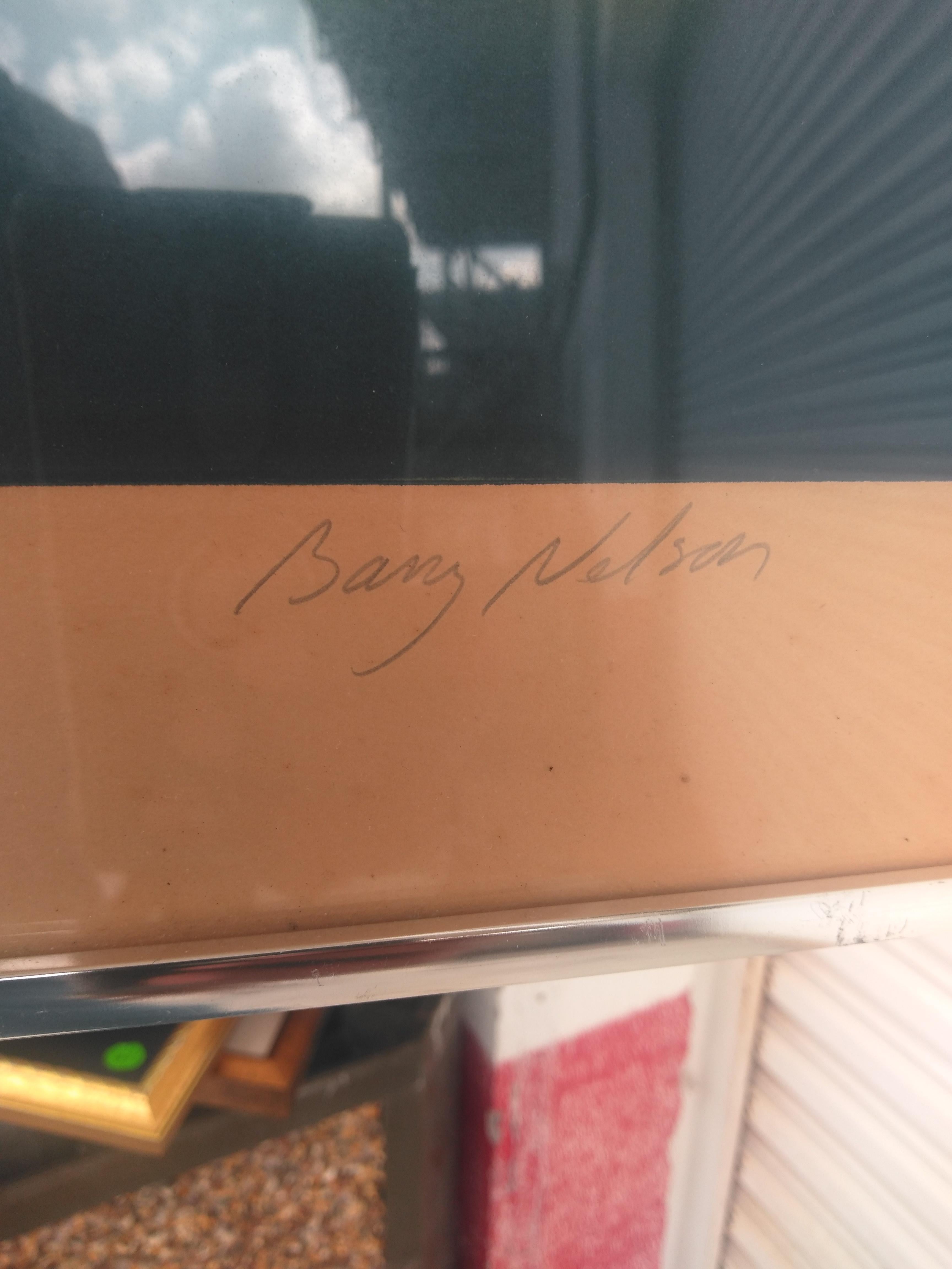 20th Century Barry Nelson Signed & Numbered Lithograph A FLAT For Sale