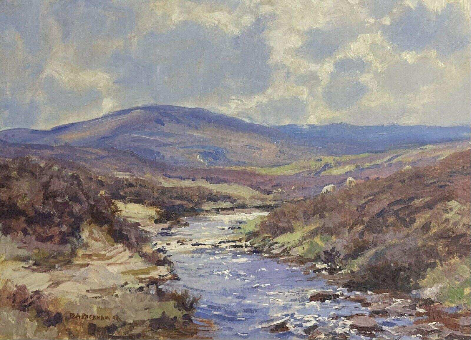 Barry Peckham Landscape Painting - Scottish Highland Sunny Landscape River Landscape Signed Oil Painting