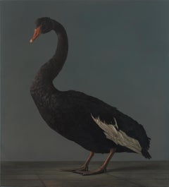 Black Swan- 21st Century Hyper Realistic painting of a Black Swan in a Studio